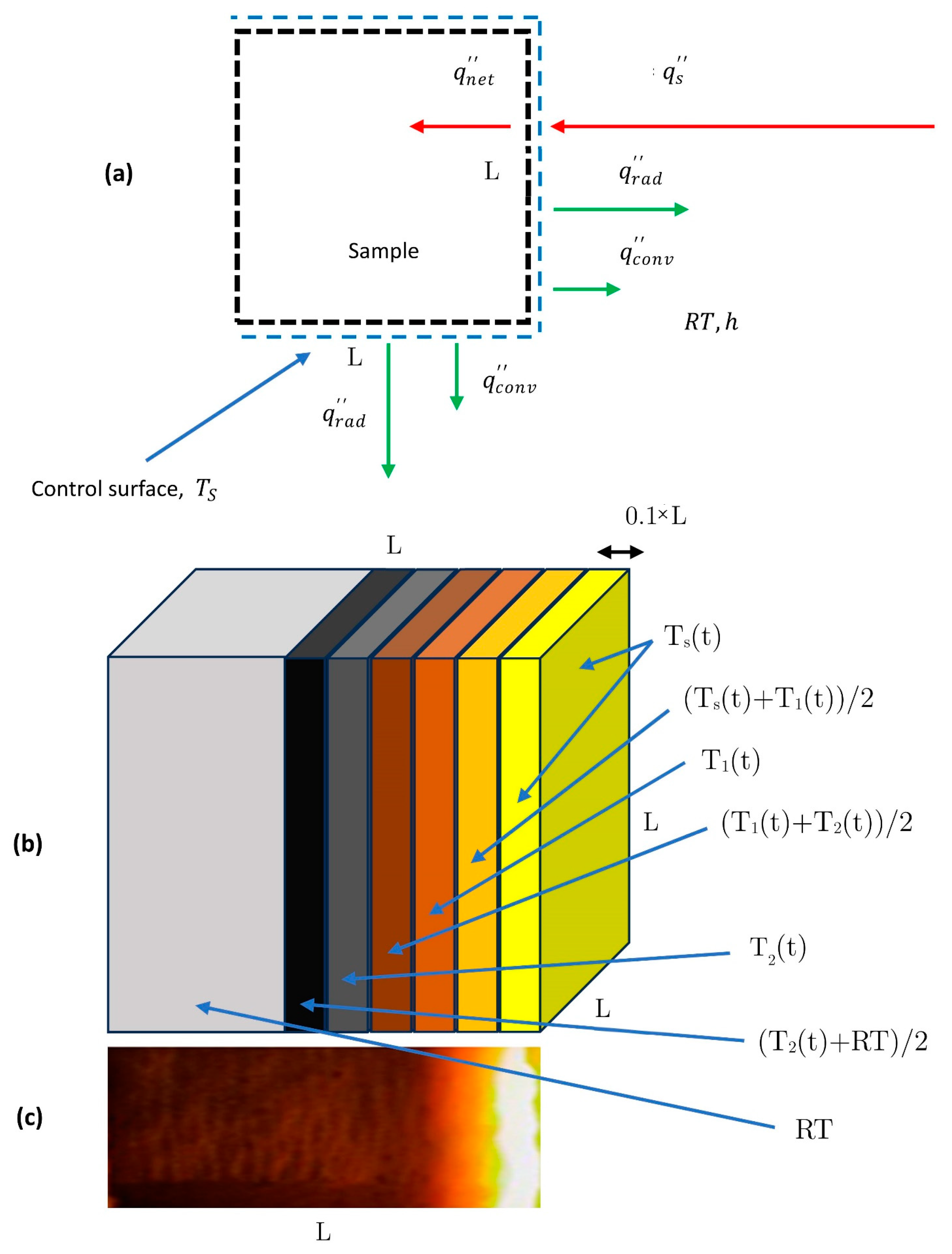 Polymers 16 00577 g013