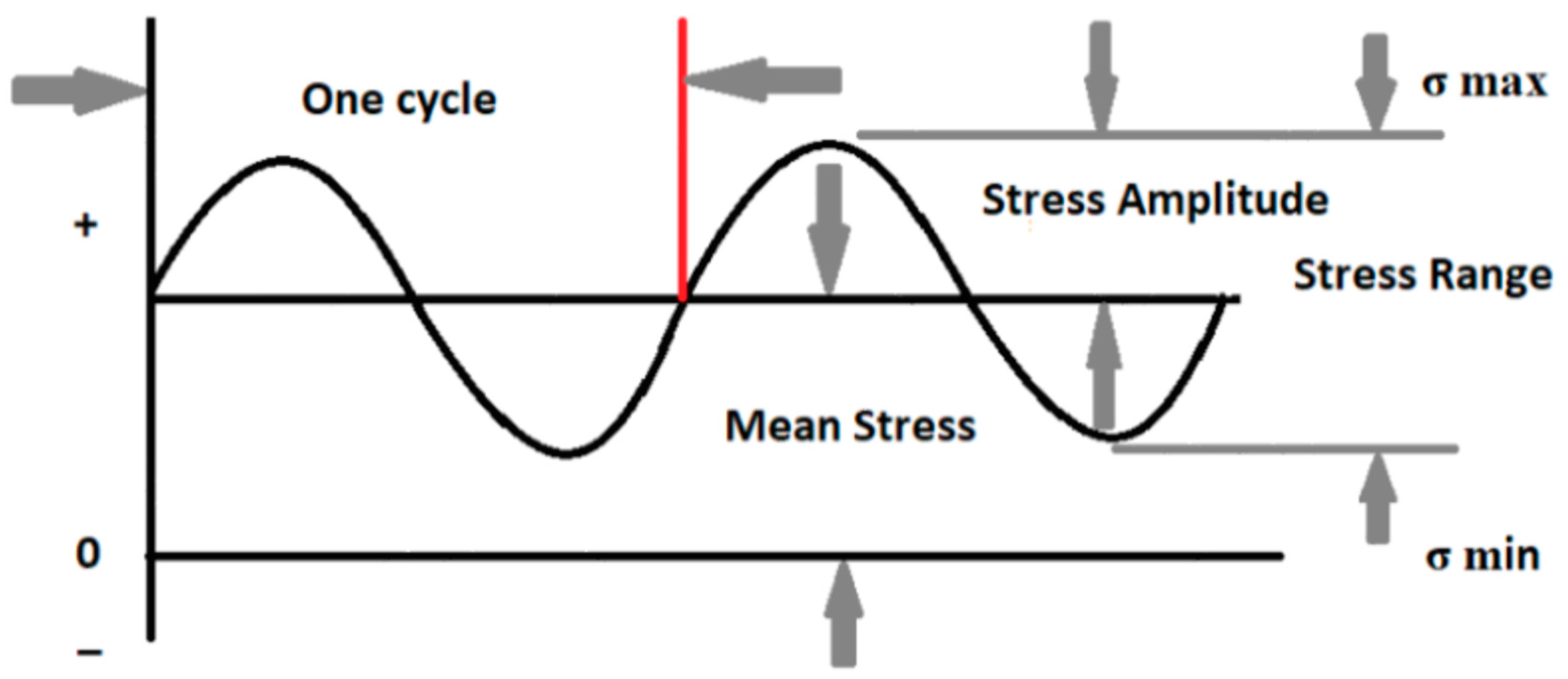 Polymers 16 00579 g003