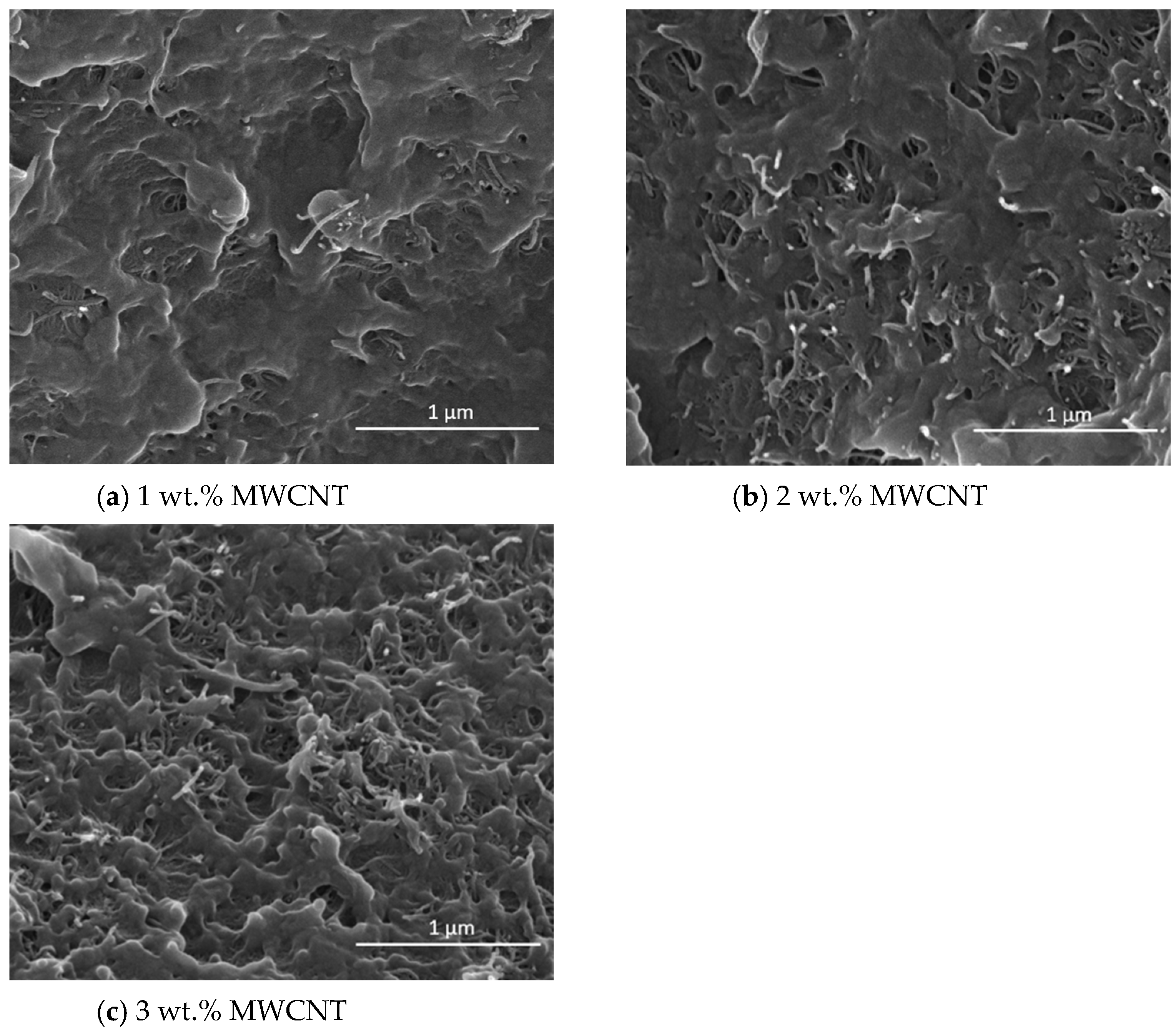 Polymers 16 00583 g008