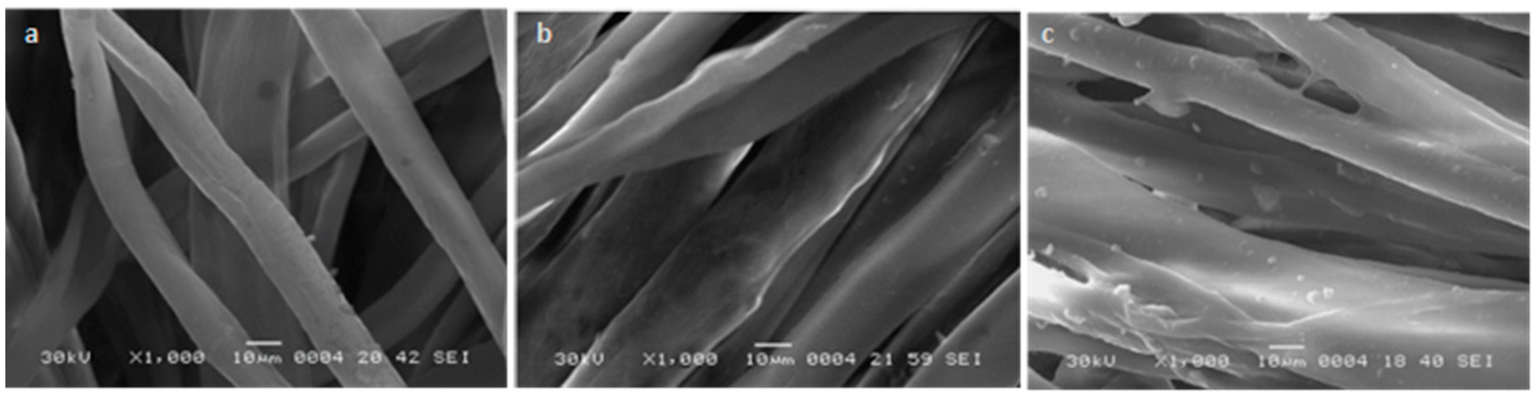 Polymers 16 00585 g006