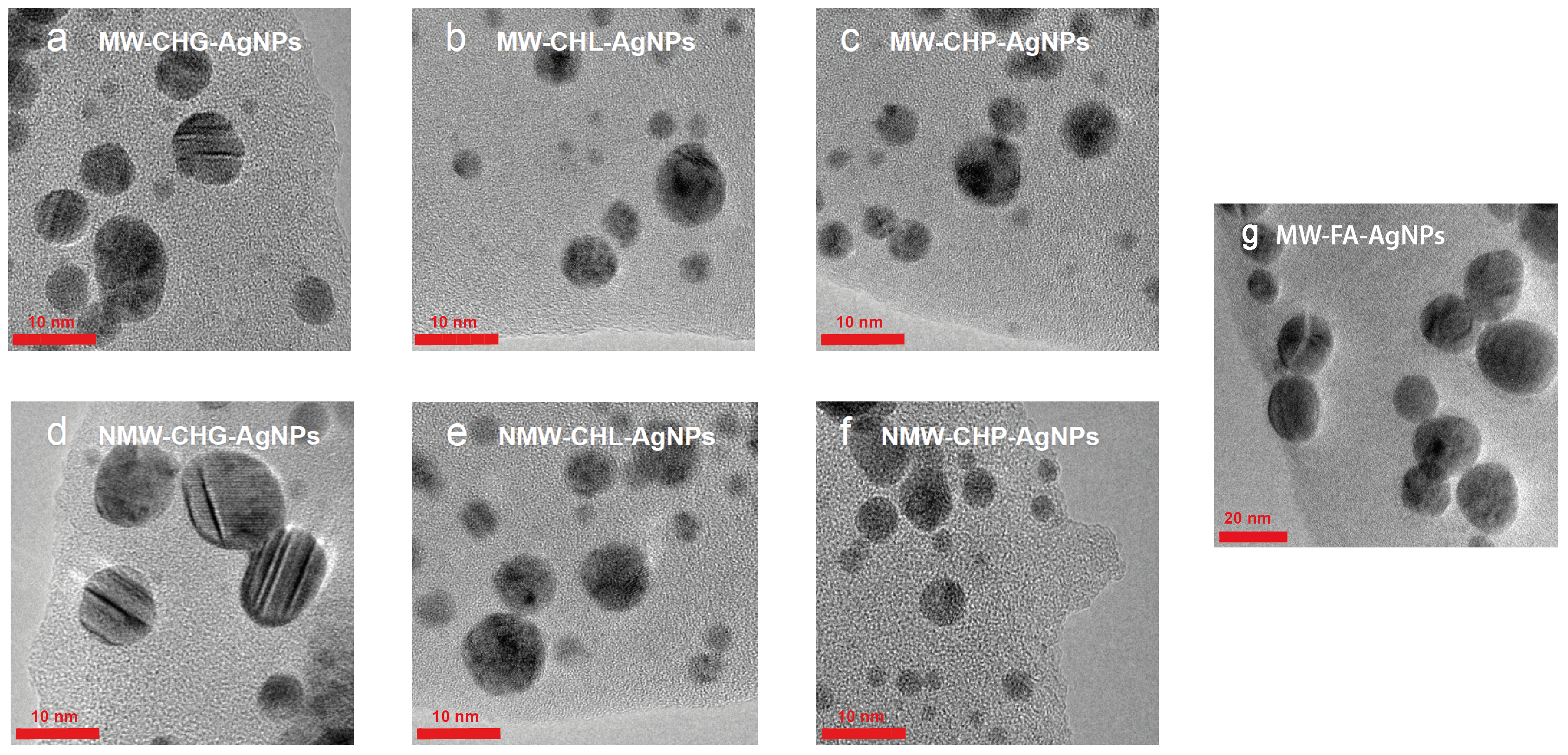 Polymers 16 00587 g005