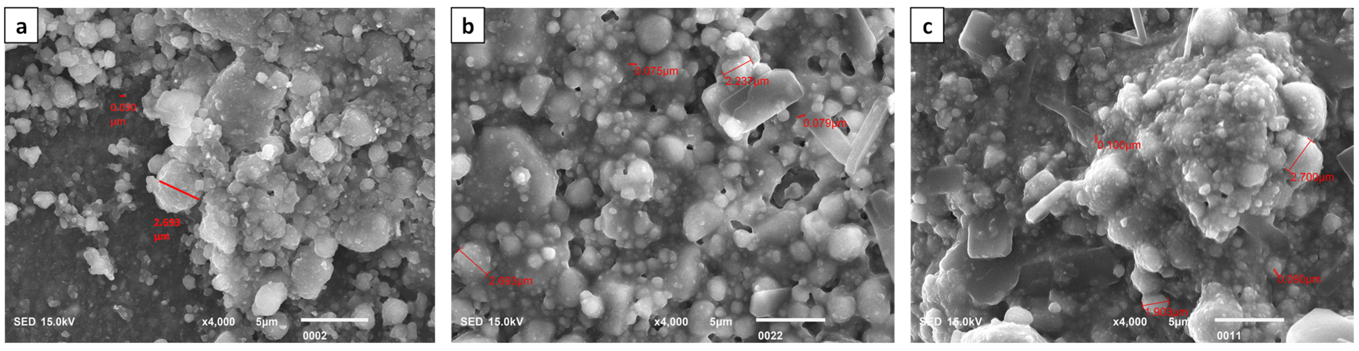 Polymers 16 00588 g005