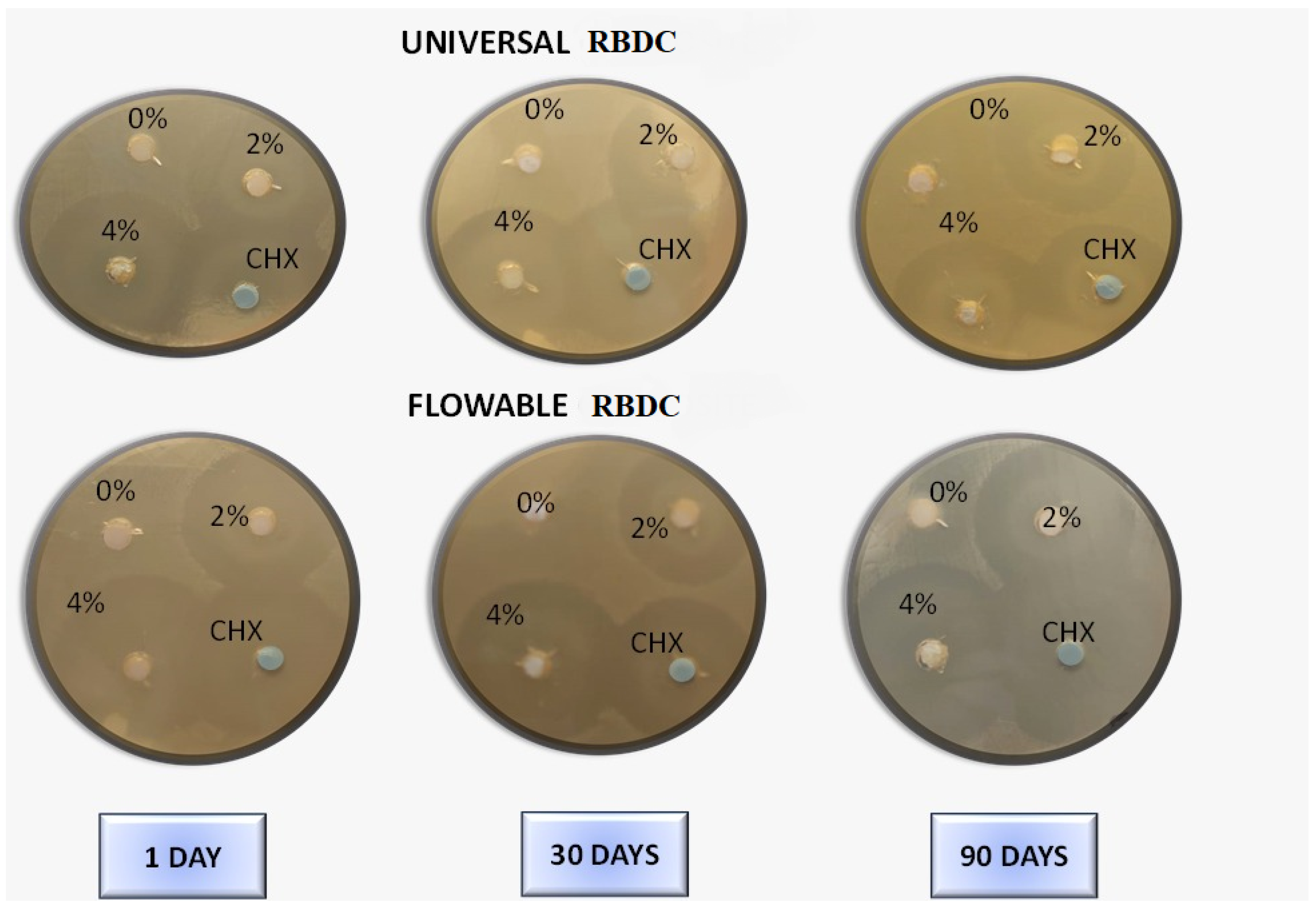 Polymers 16 00588 g007