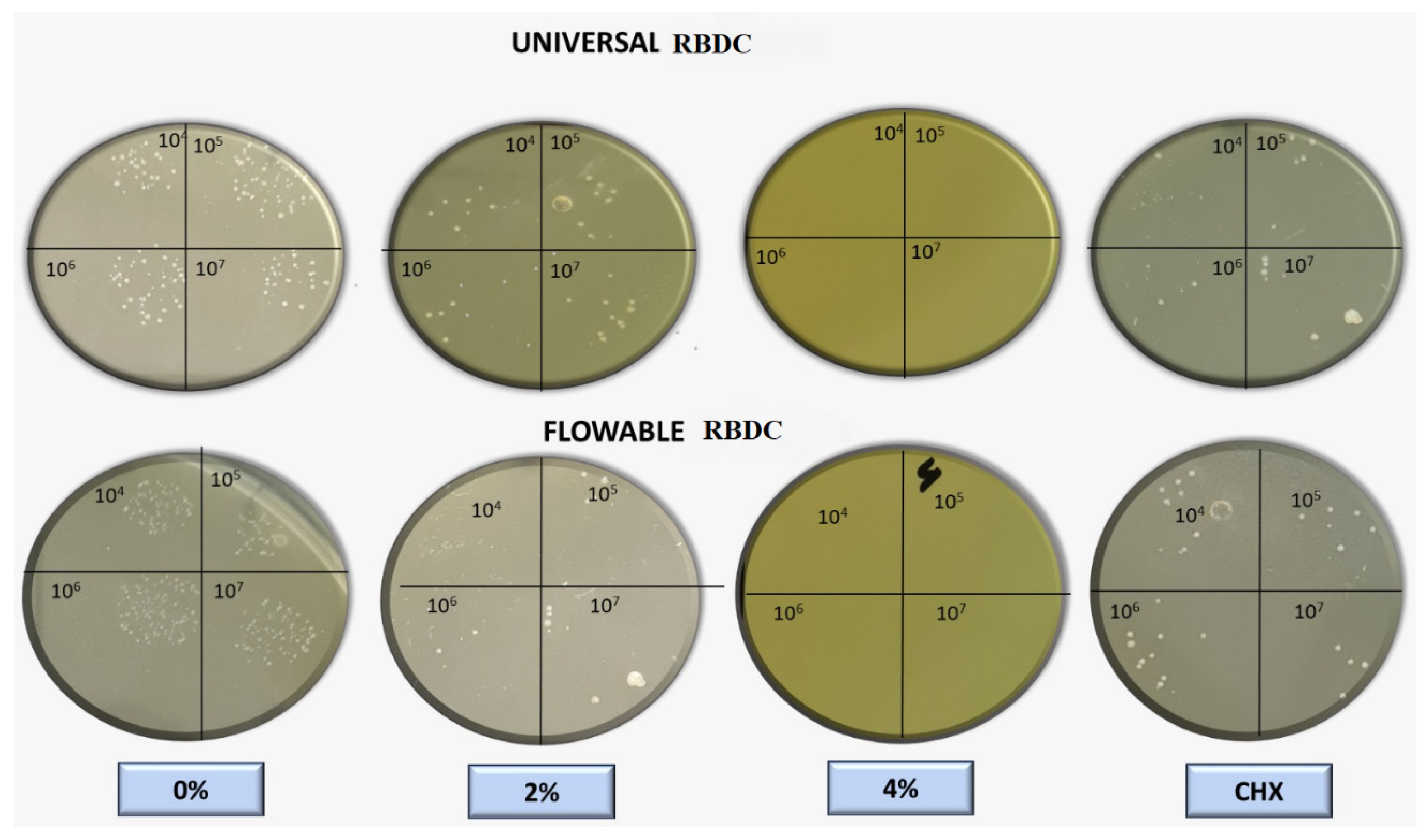 Polymers 16 00588 g008