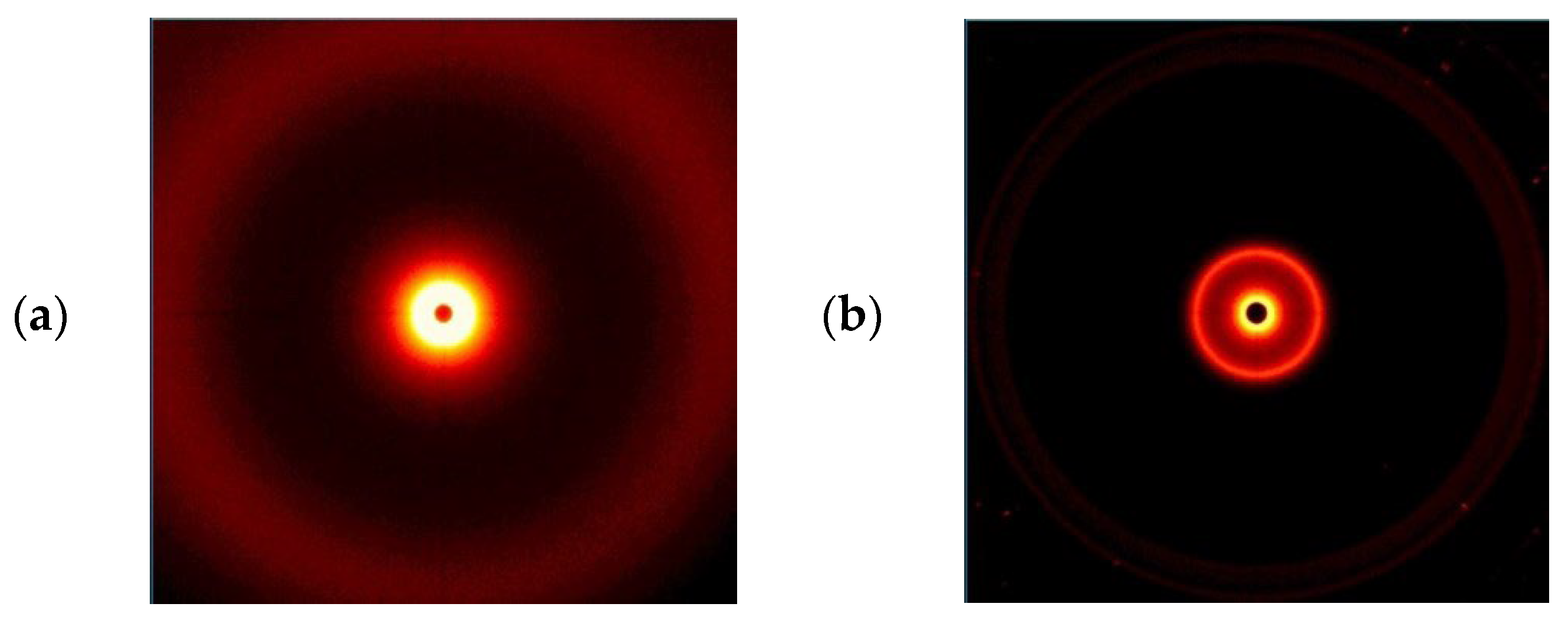 Polymers 16 00592 g010