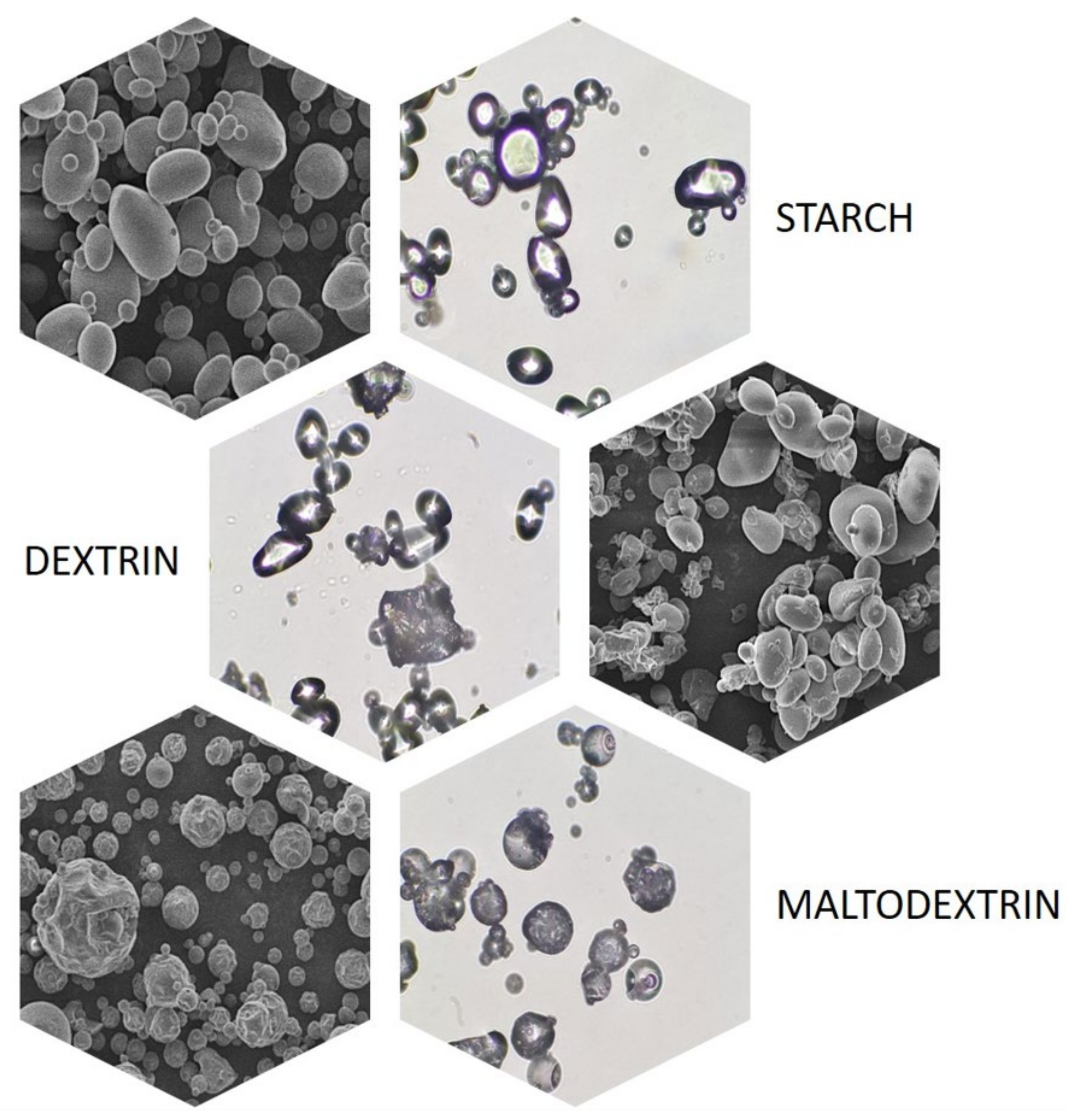 Polymers 16 00597 g003
