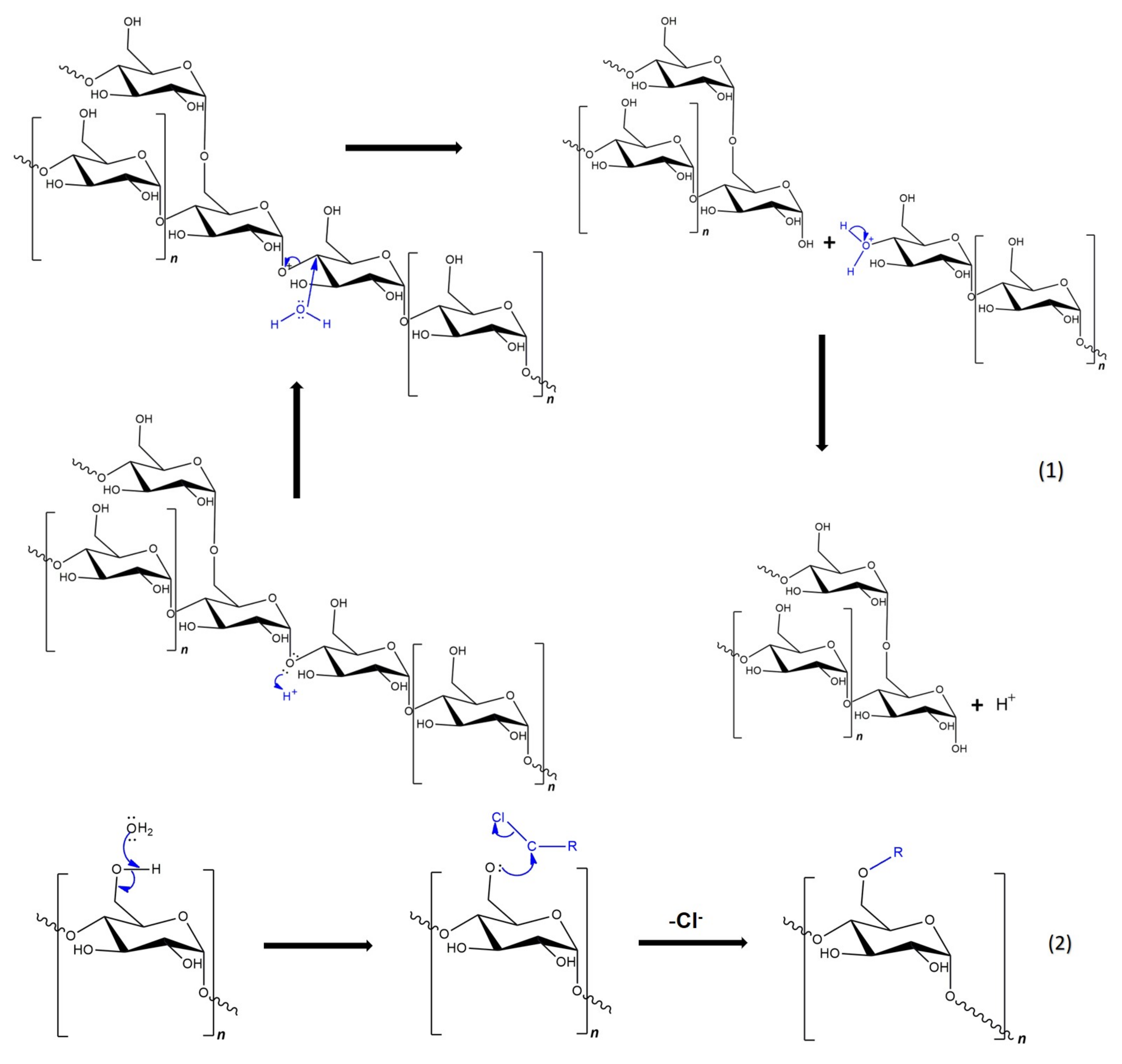 Polymers 16 00597 g008a