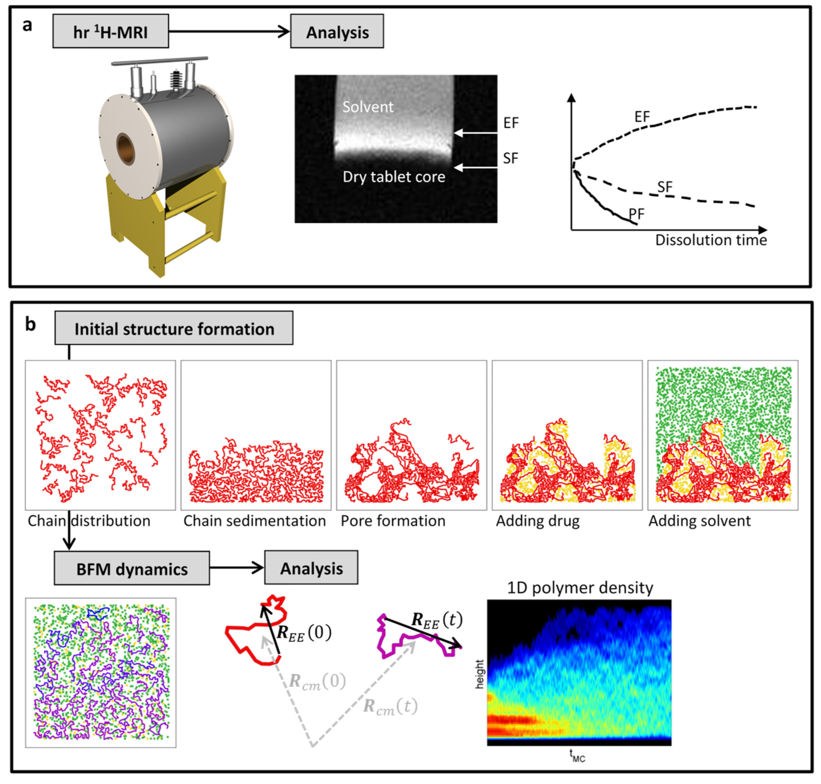 Polymers 16 00601 g001