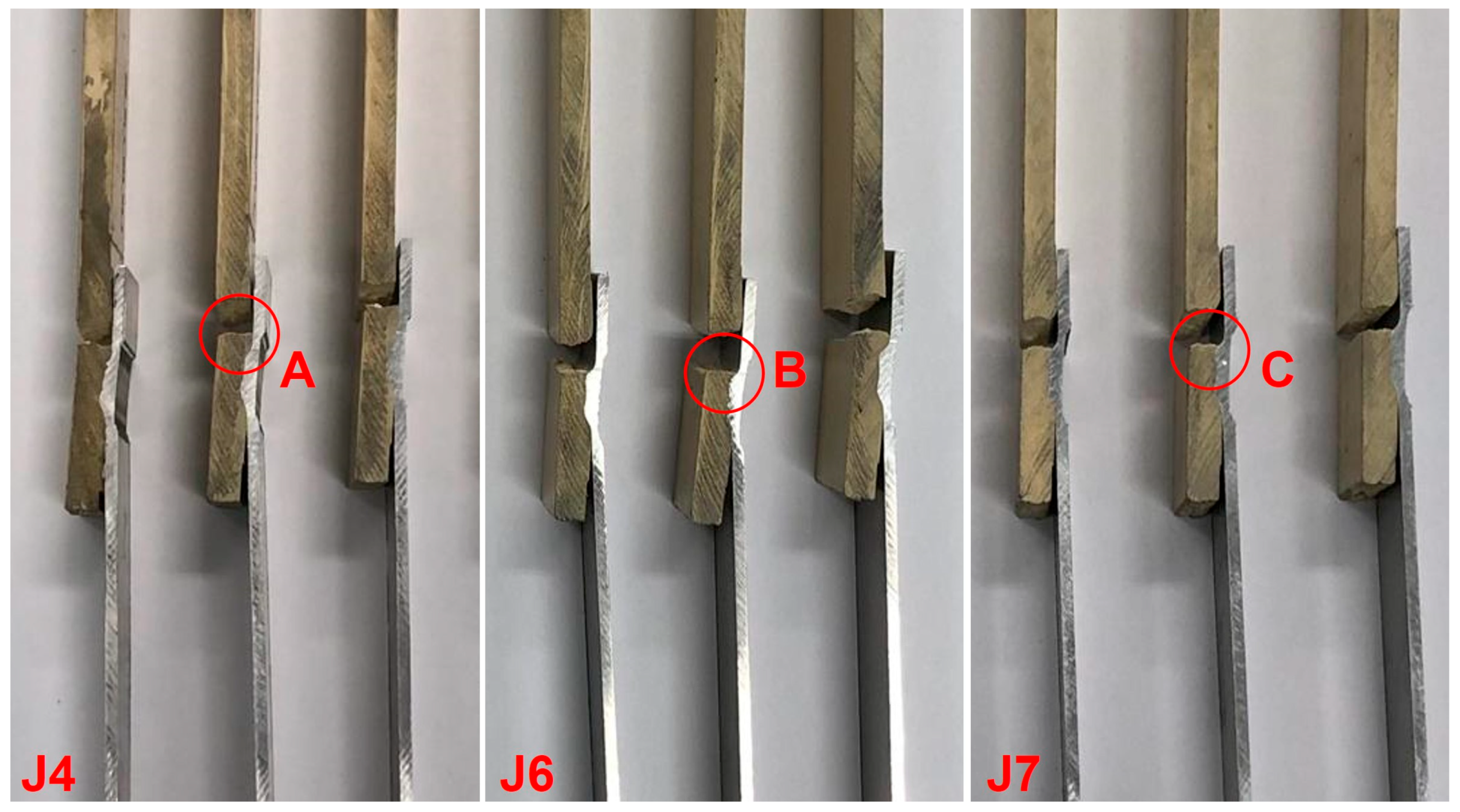 Polymers 16 00602 g007