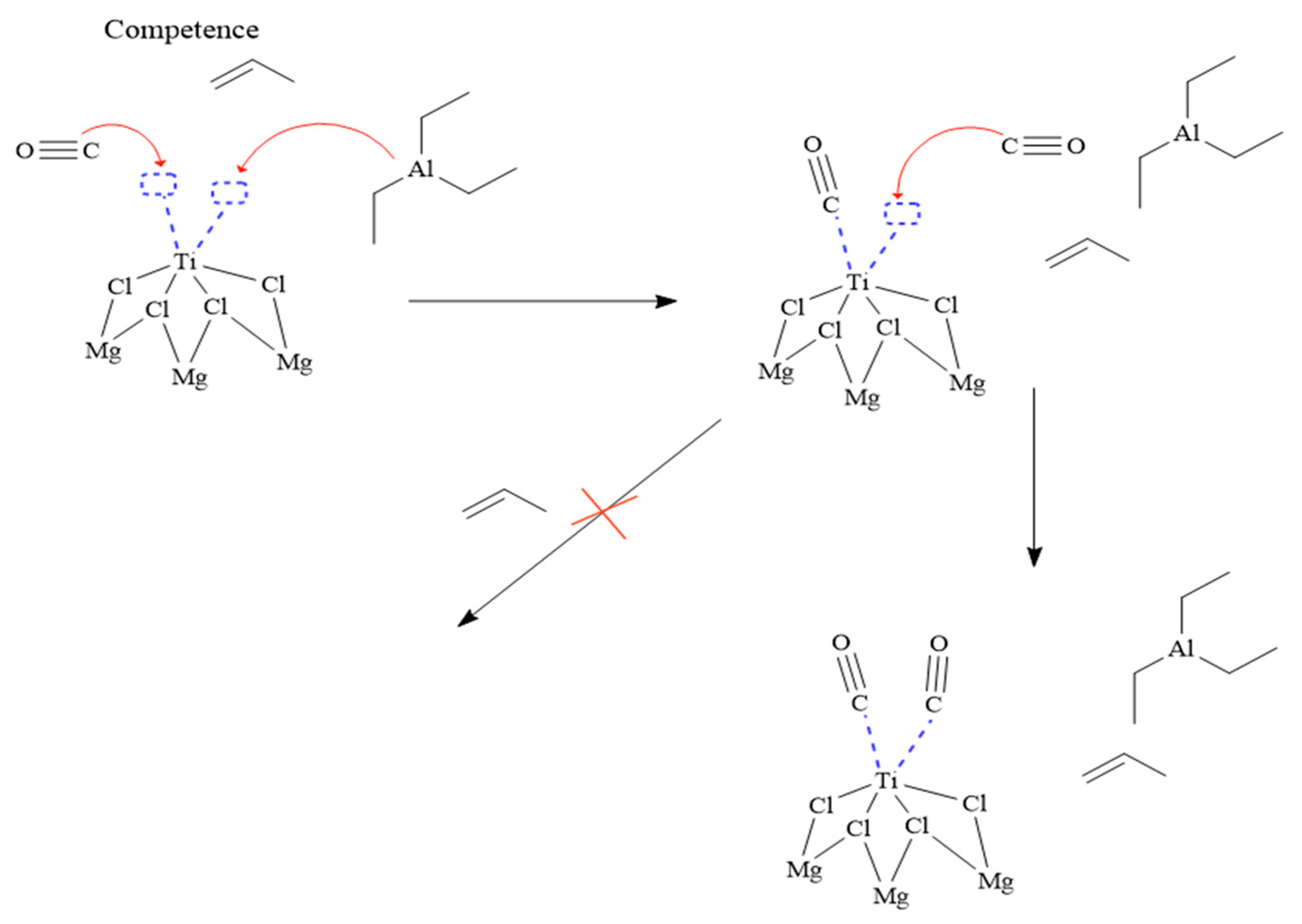 Polymers 16 00605 g006