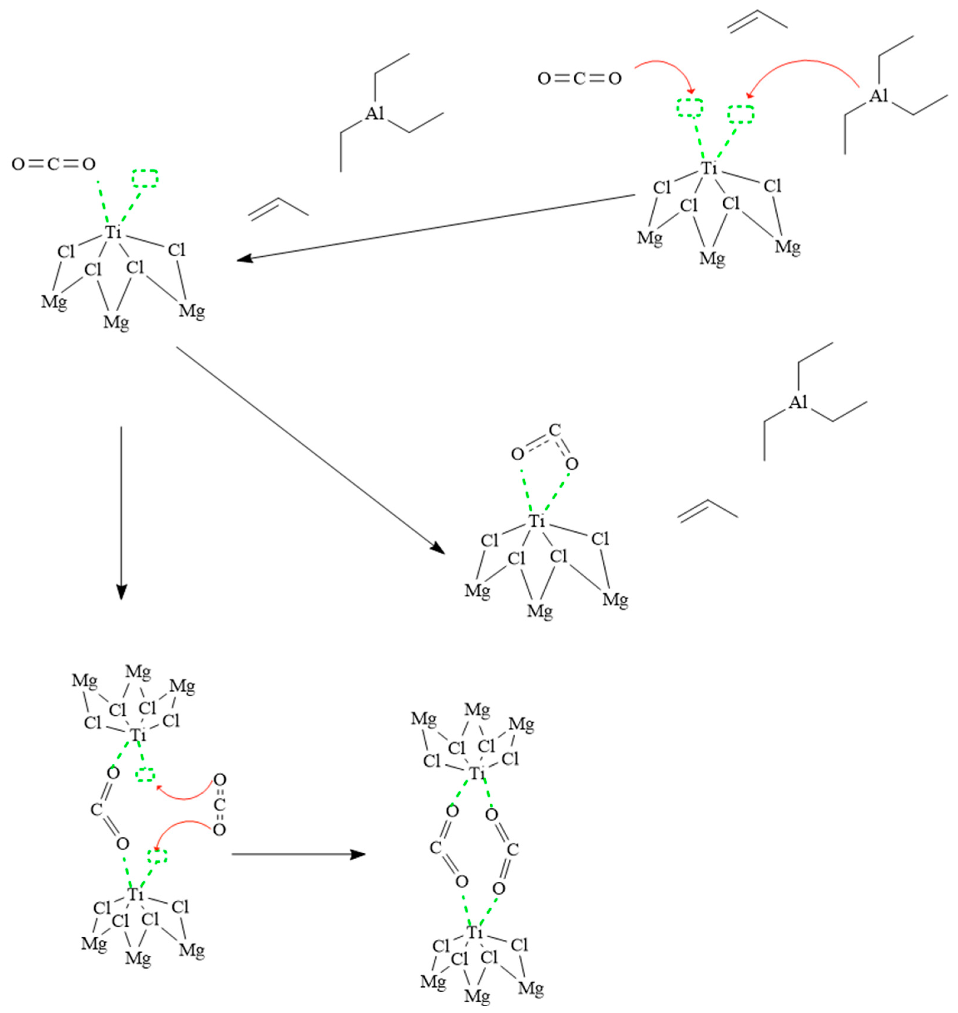 Polymers 16 00605 g007