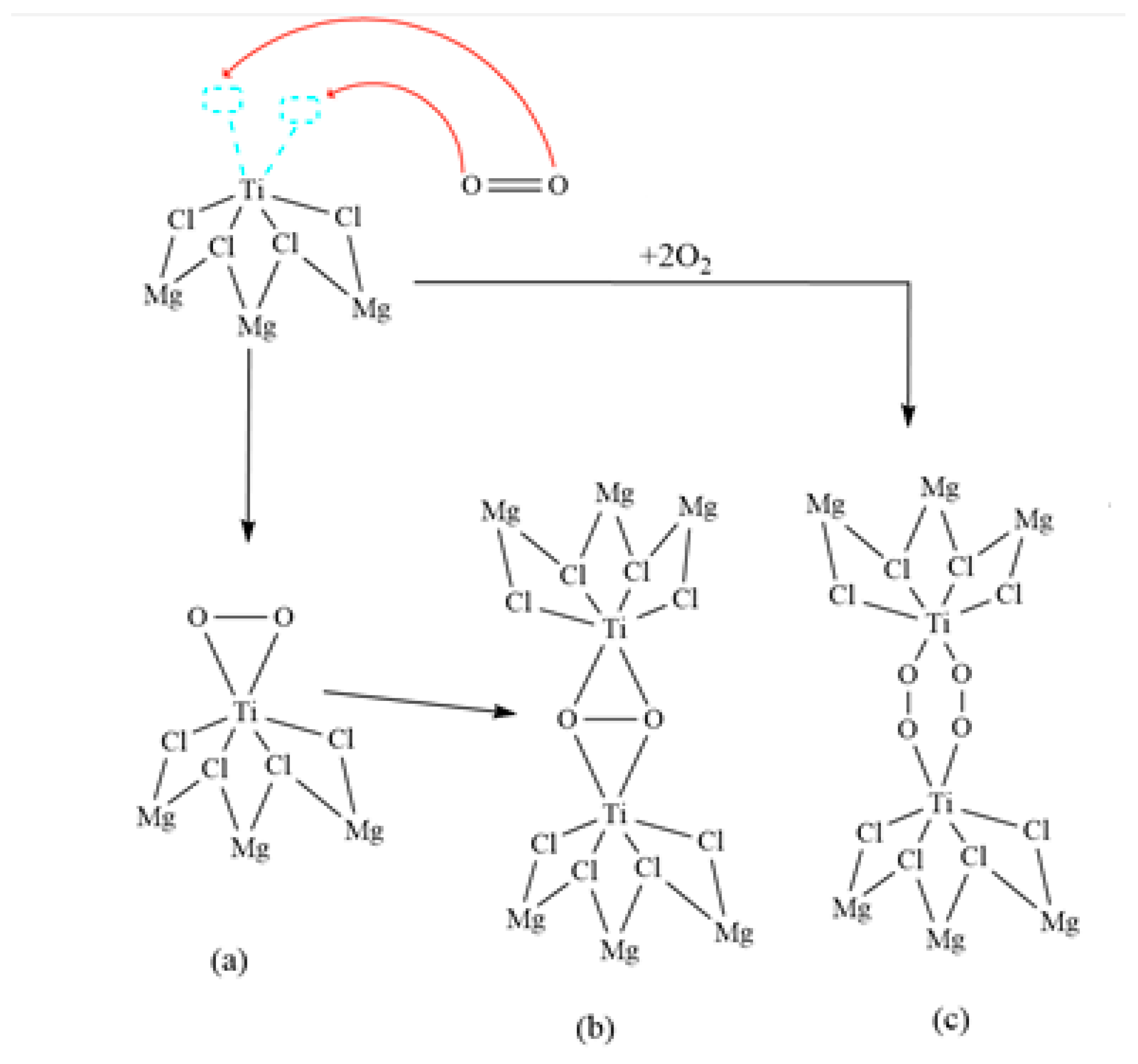Polymers 16 00605 g008