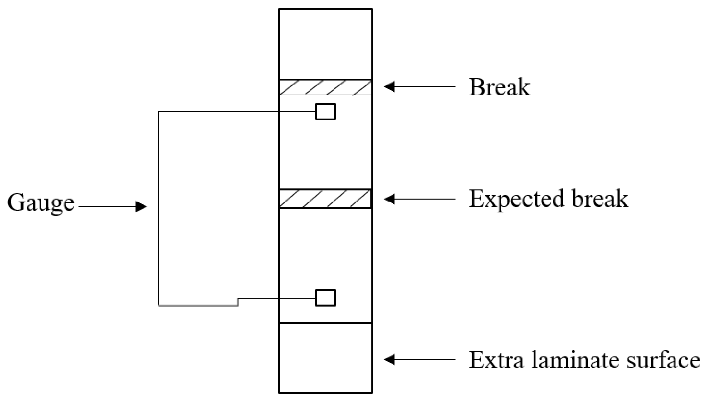 Polymers 16 00606 g005