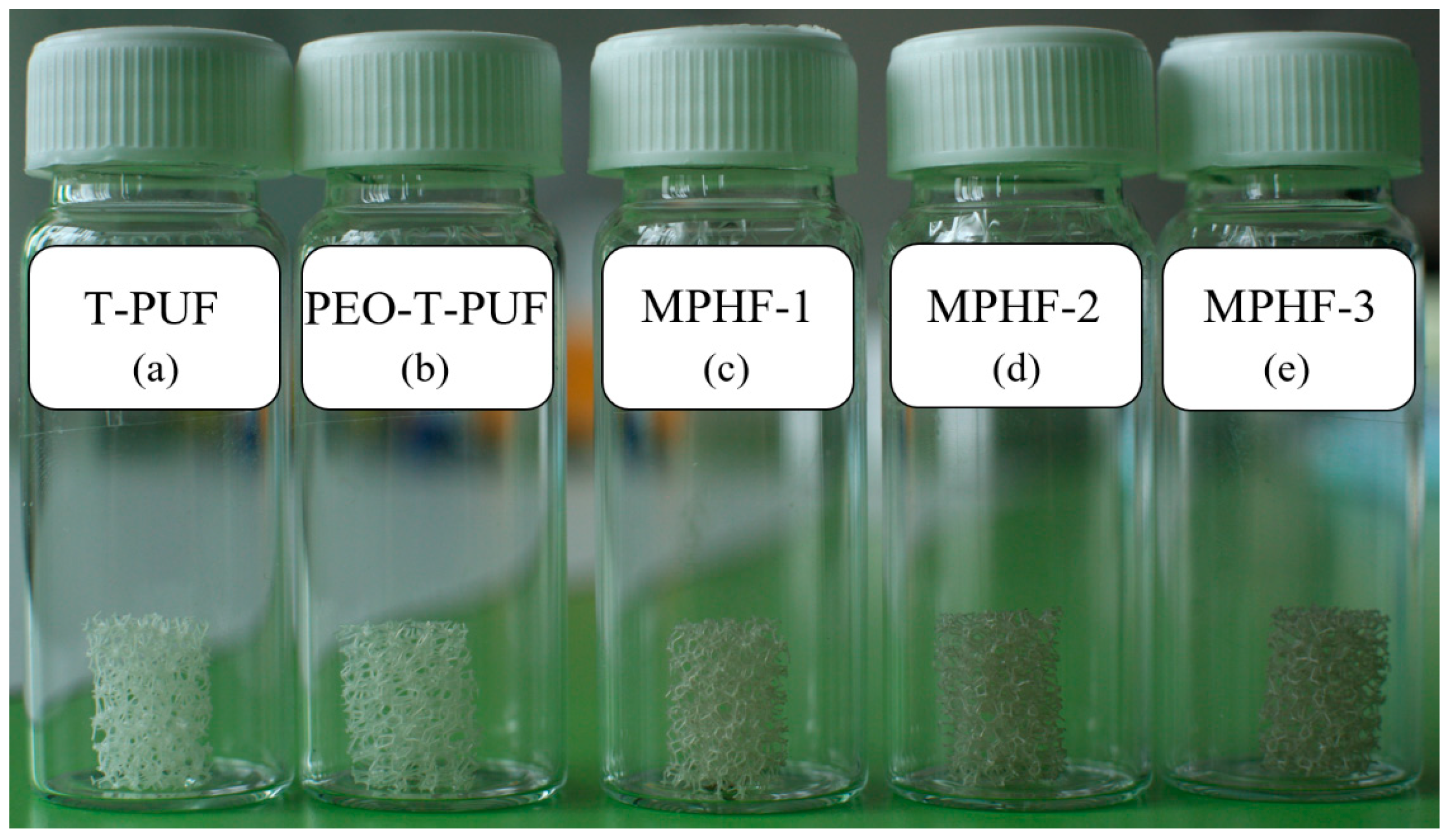 Polymers 16 00608 g001