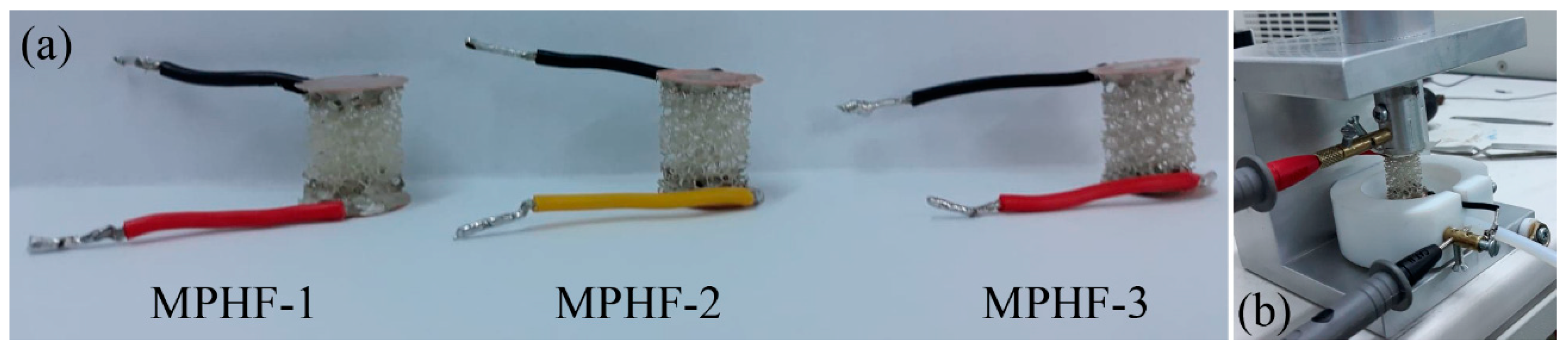 Polymers 16 00608 g002