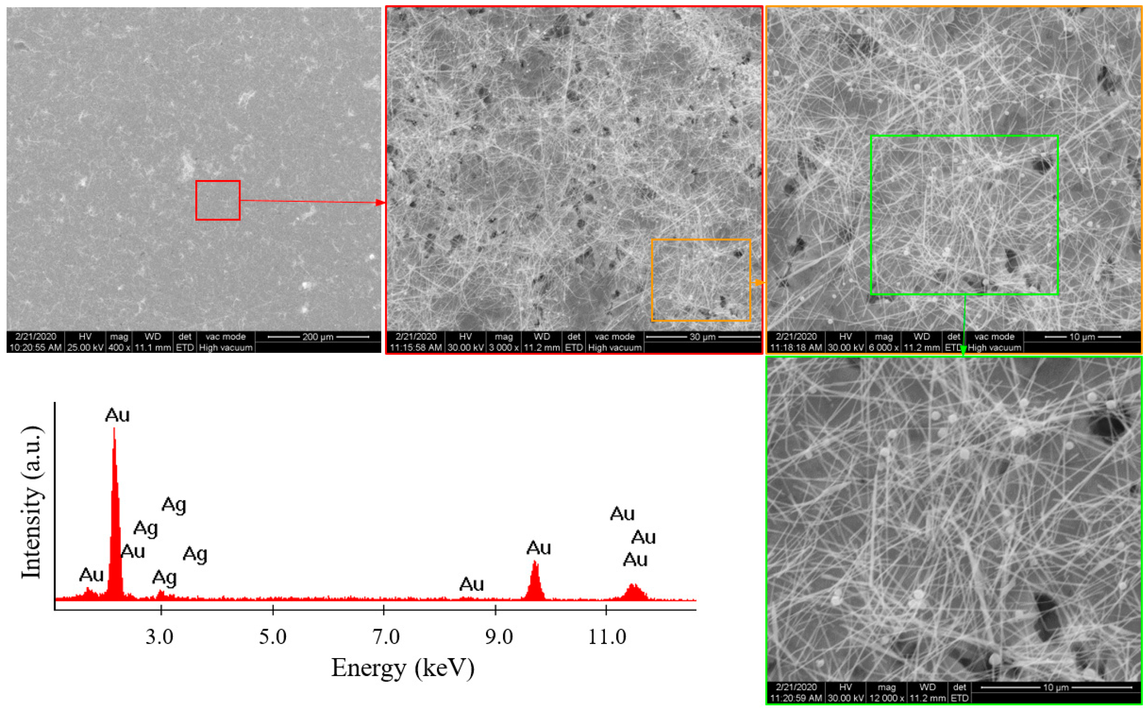 Polymers 16 00608 g003
