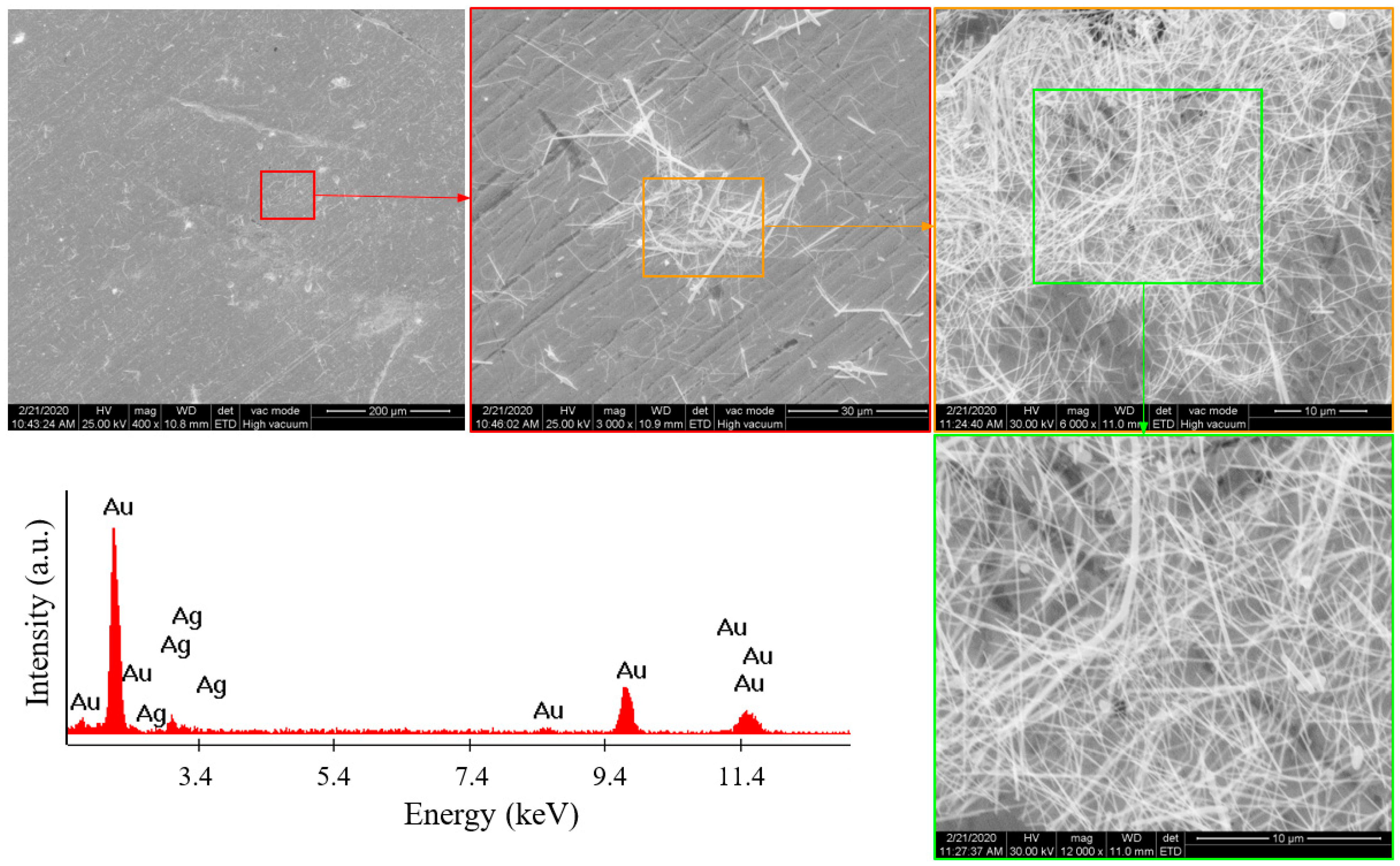 Polymers 16 00608 g004