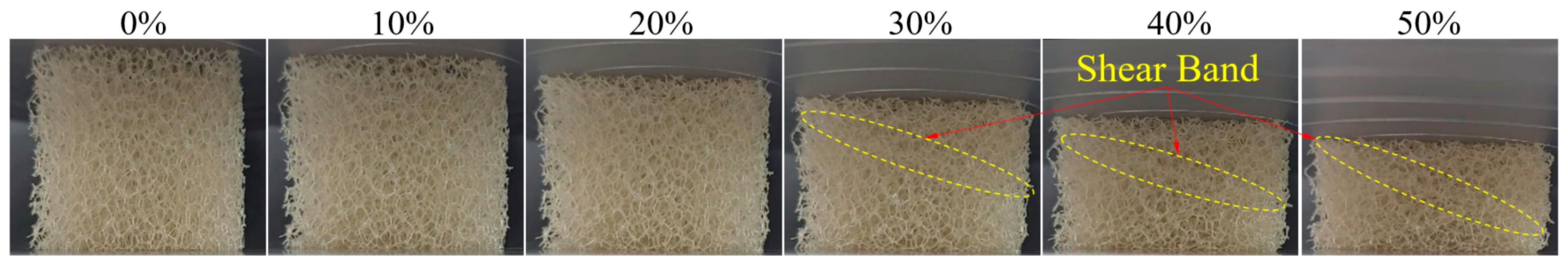 Polymers 16 00608 g006