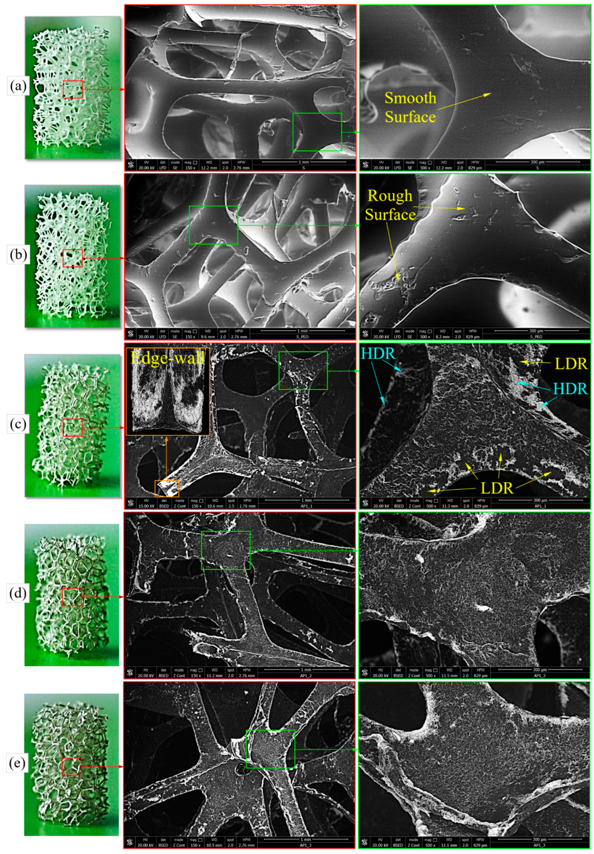 Polymers 16 00608 g007