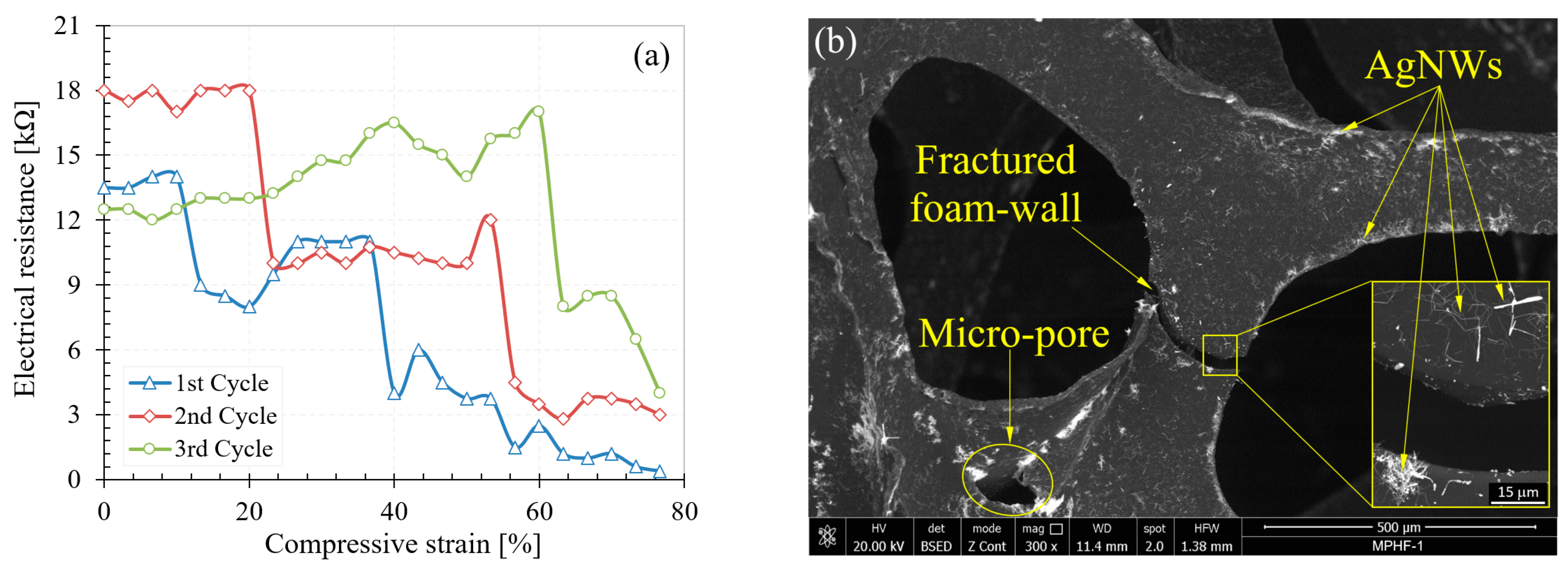 Polymers 16 00608 g008
