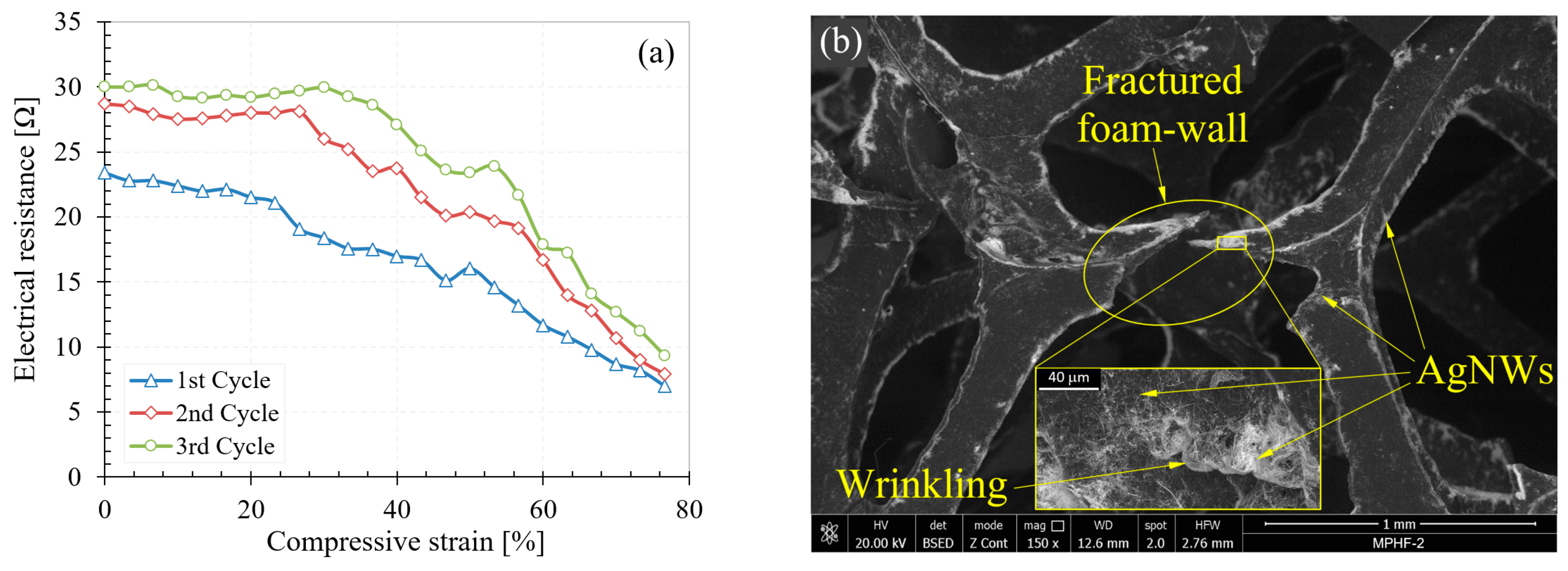 Polymers 16 00608 g009
