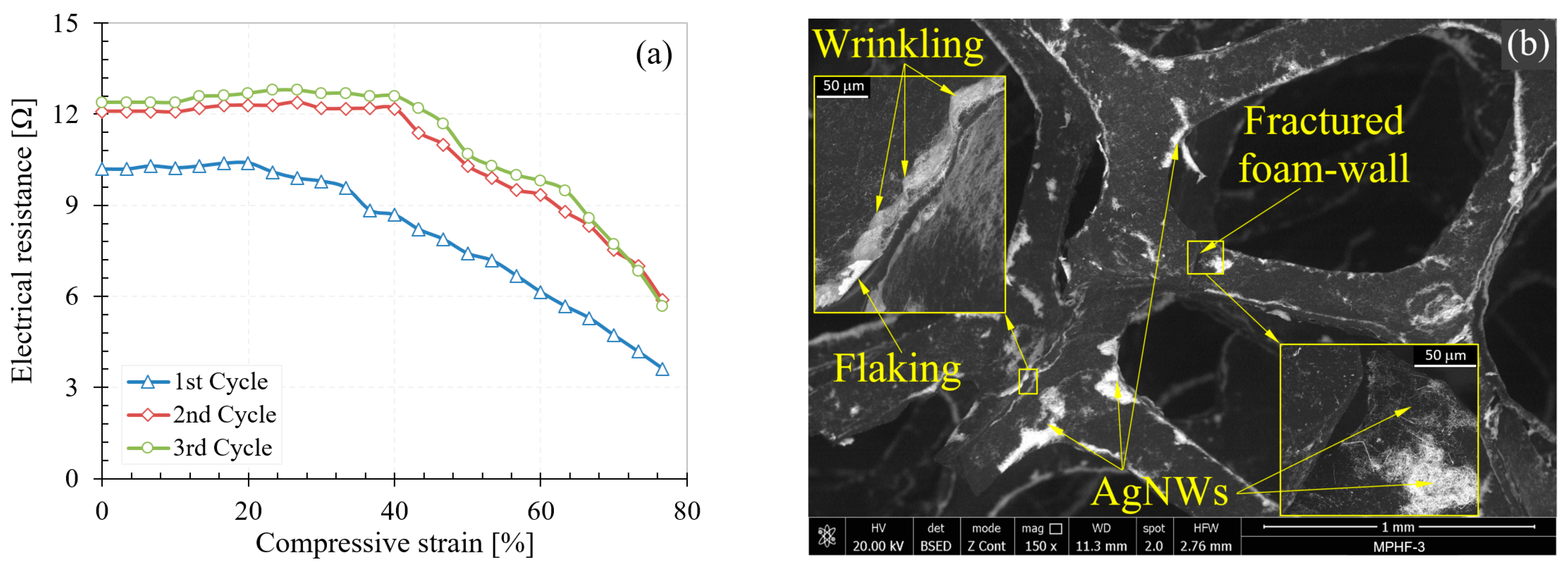 Polymers 16 00608 g010
