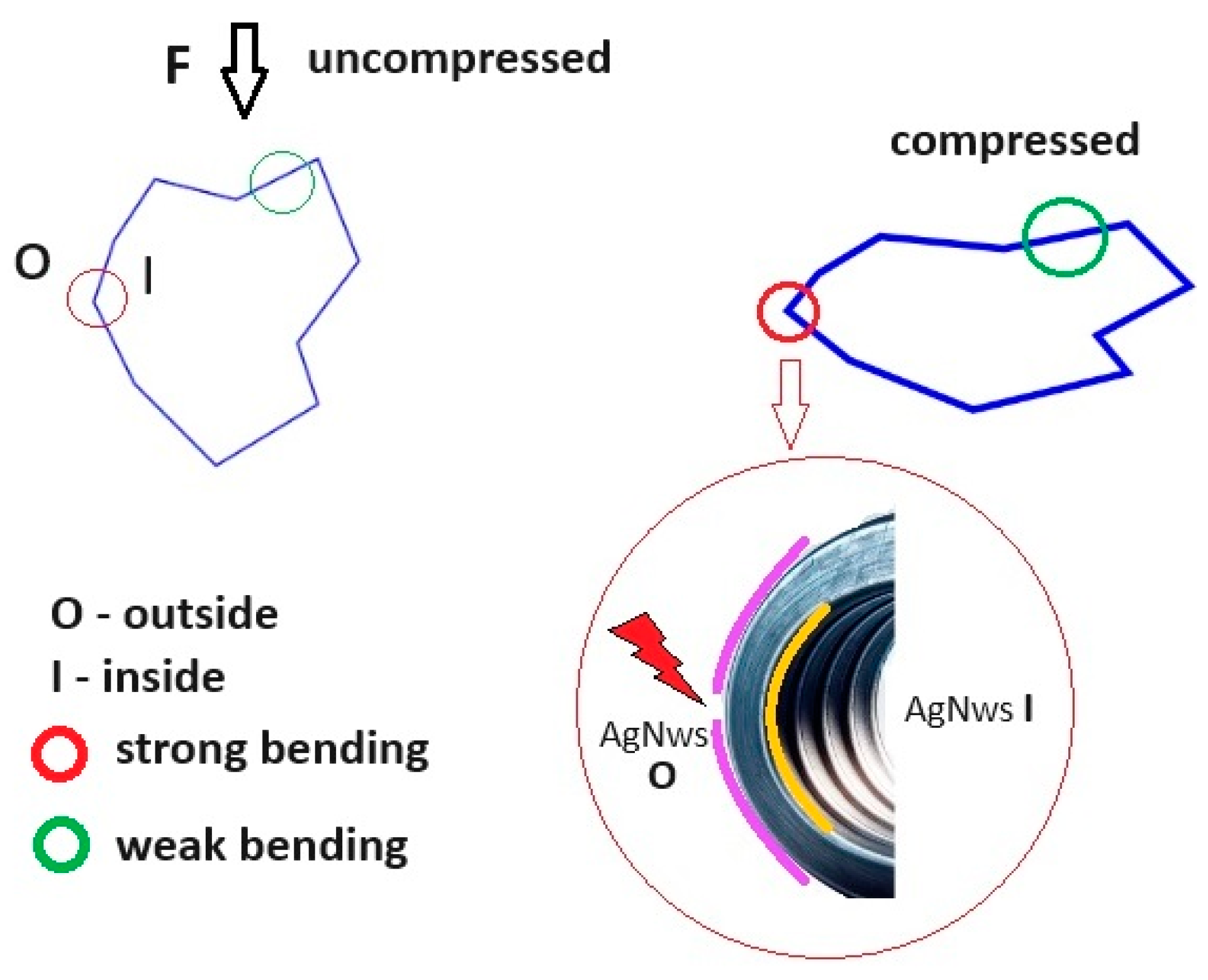 Polymers 16 00608 g011