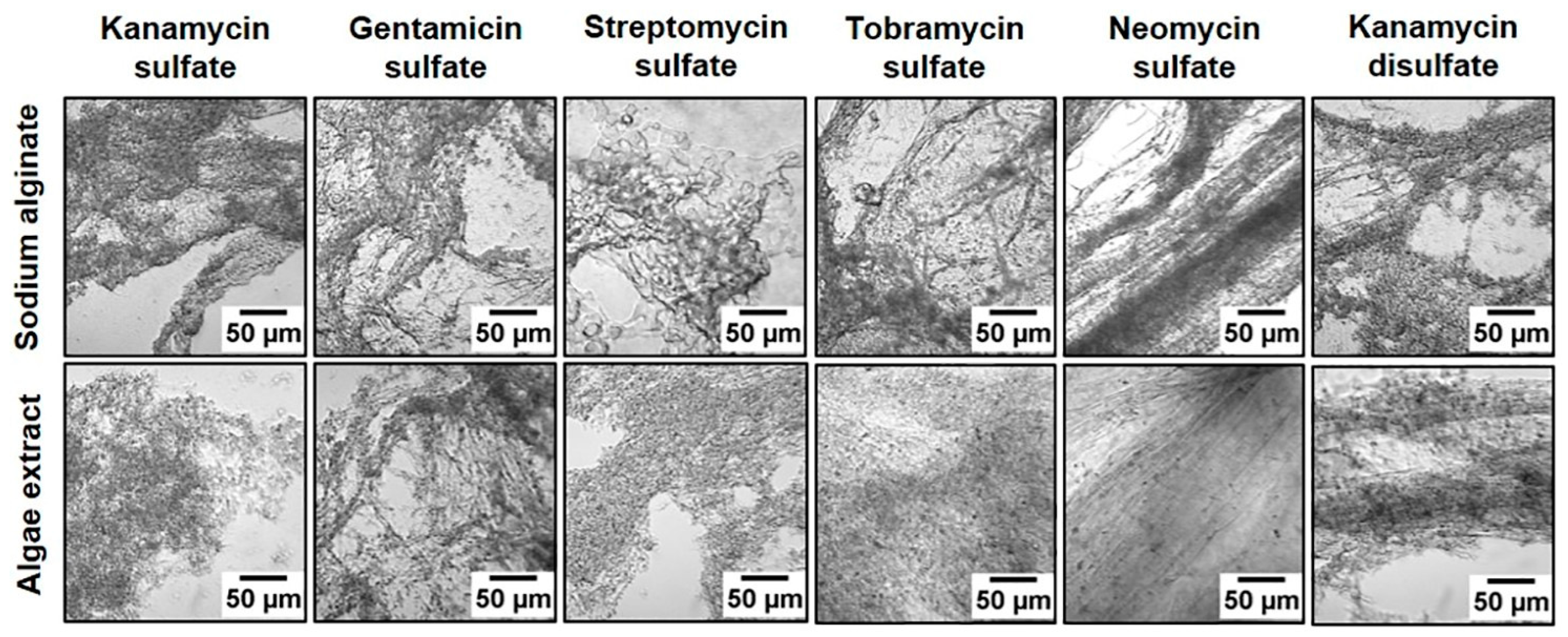 Polymers 16 00610 g004