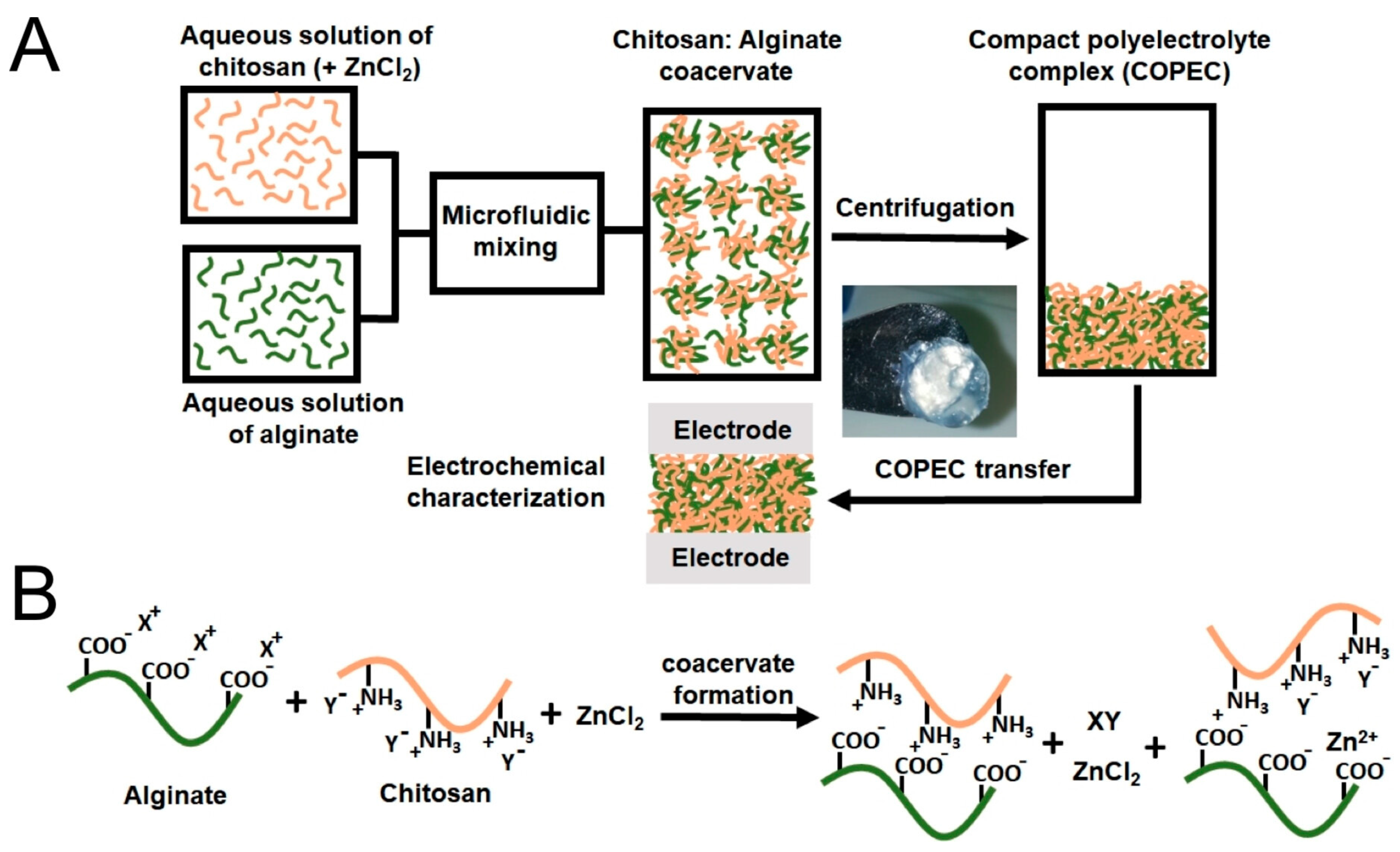 Polymers 16 00610 g009