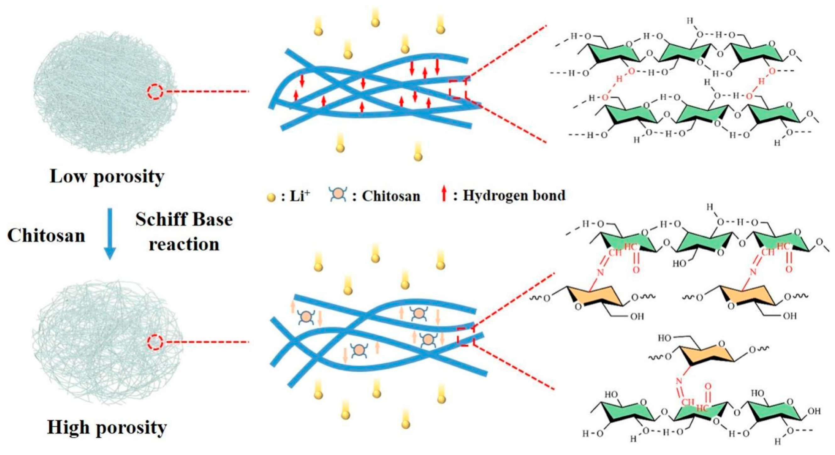 Polymers 16 00610 g010