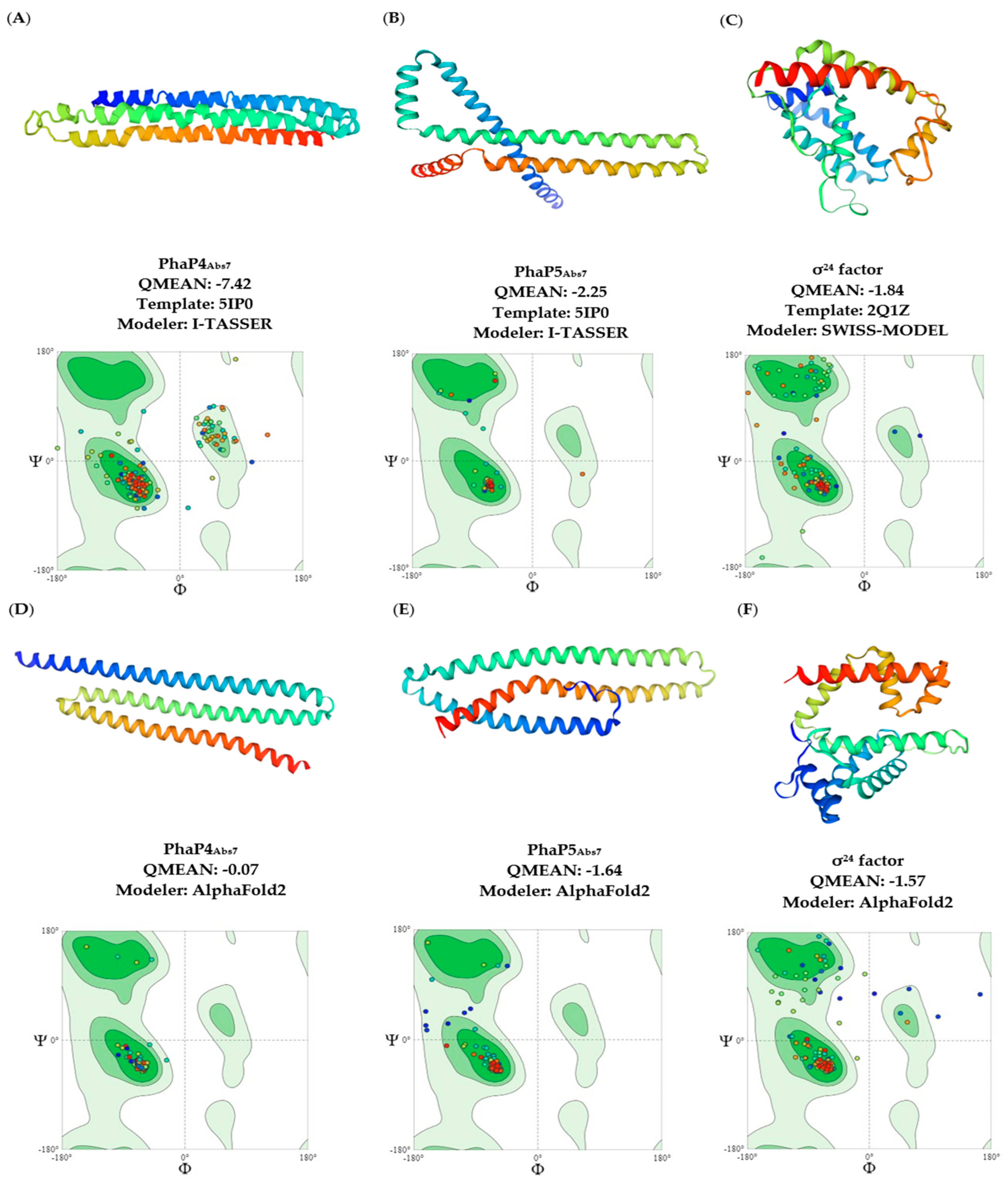 Polymers 16 00611 g002 Polymers 16 00611 g002