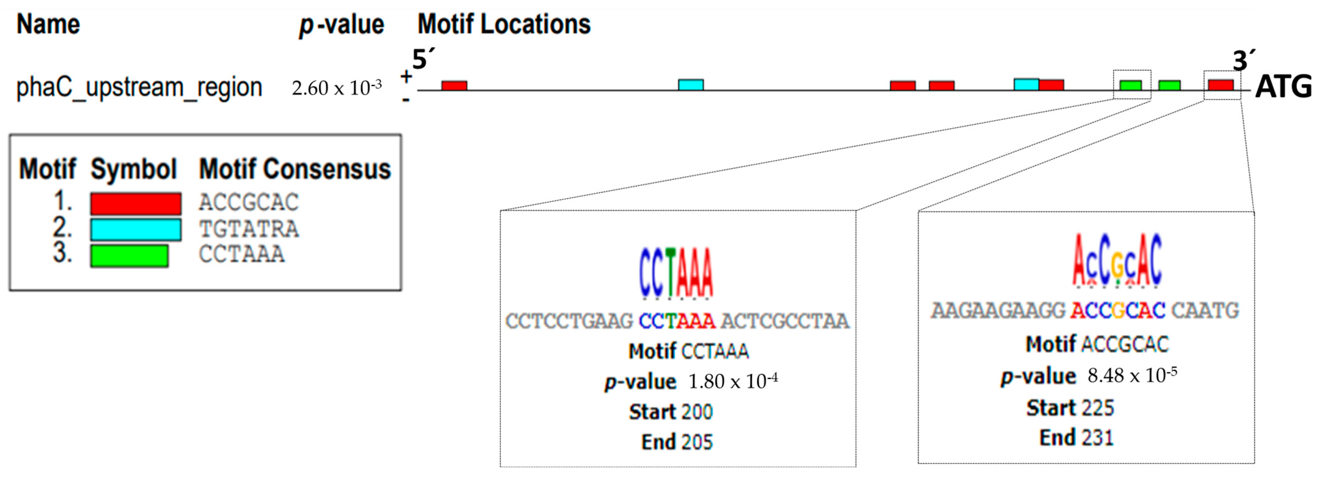 Polymers 16 00611 g003 Polymers 16 00611 g003