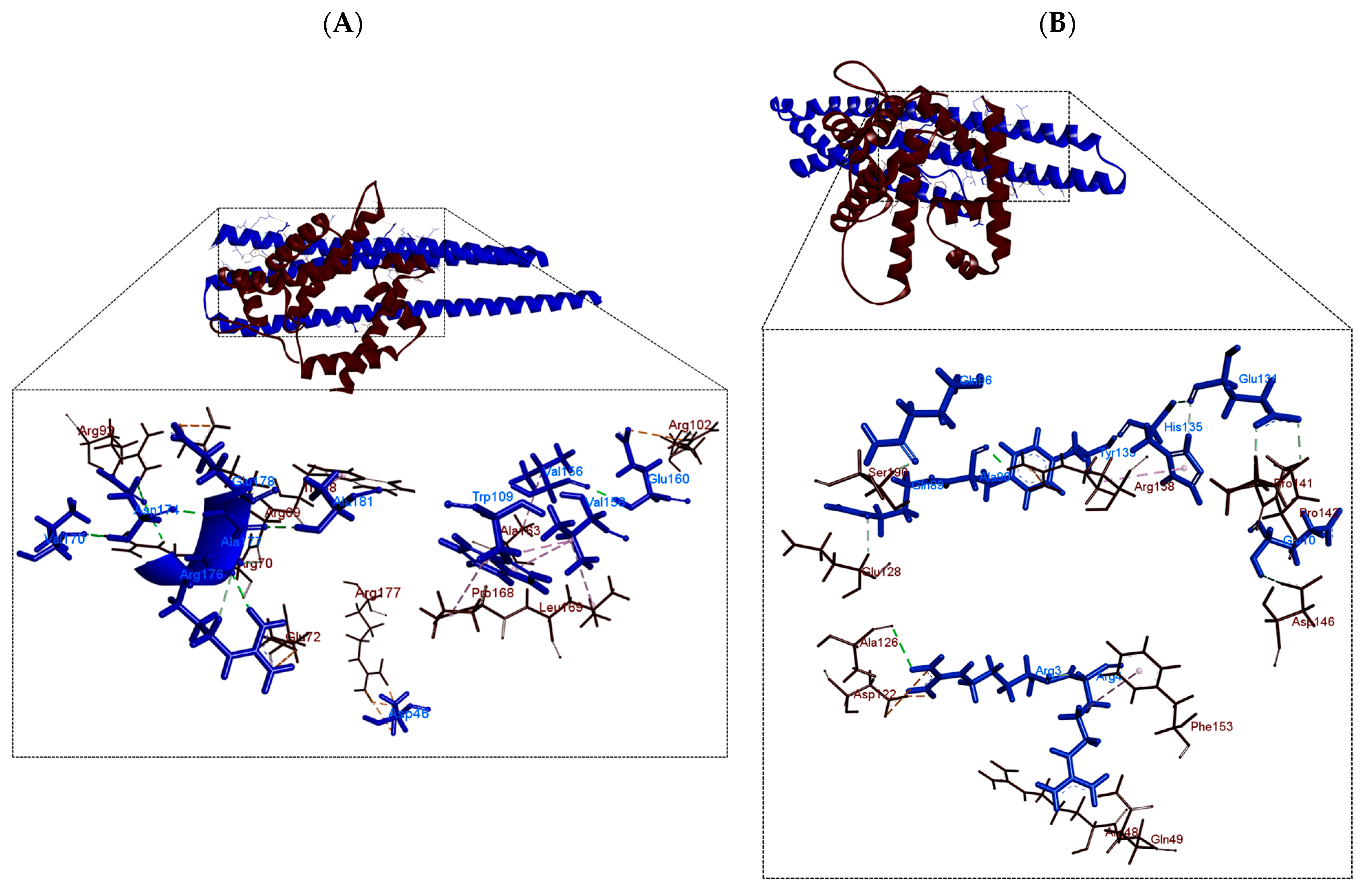 Polymers 16 00611 g004 Polymers 16 00611 g004