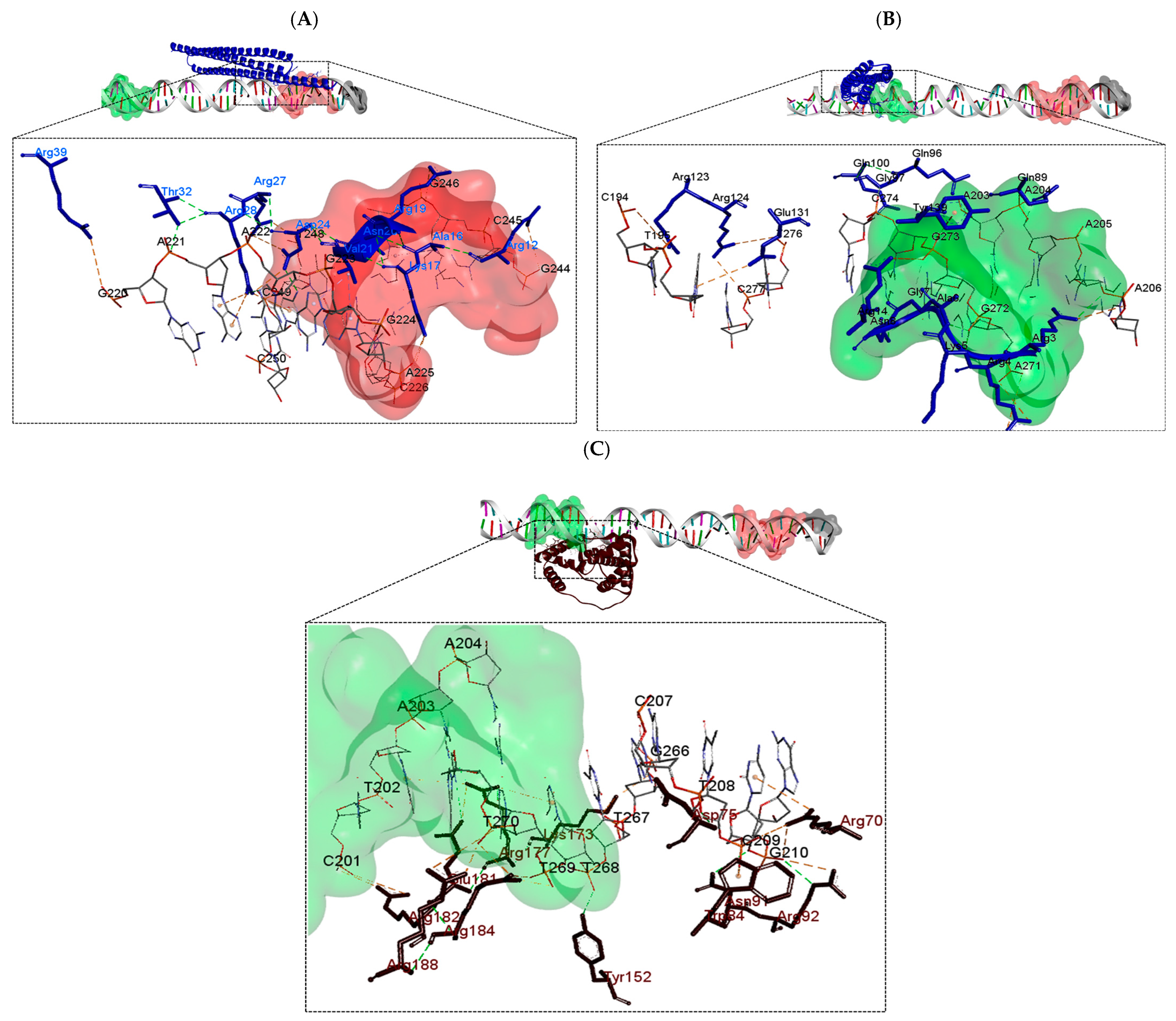 Polymers 16 00611 g006 Polymers 16 00611 g006