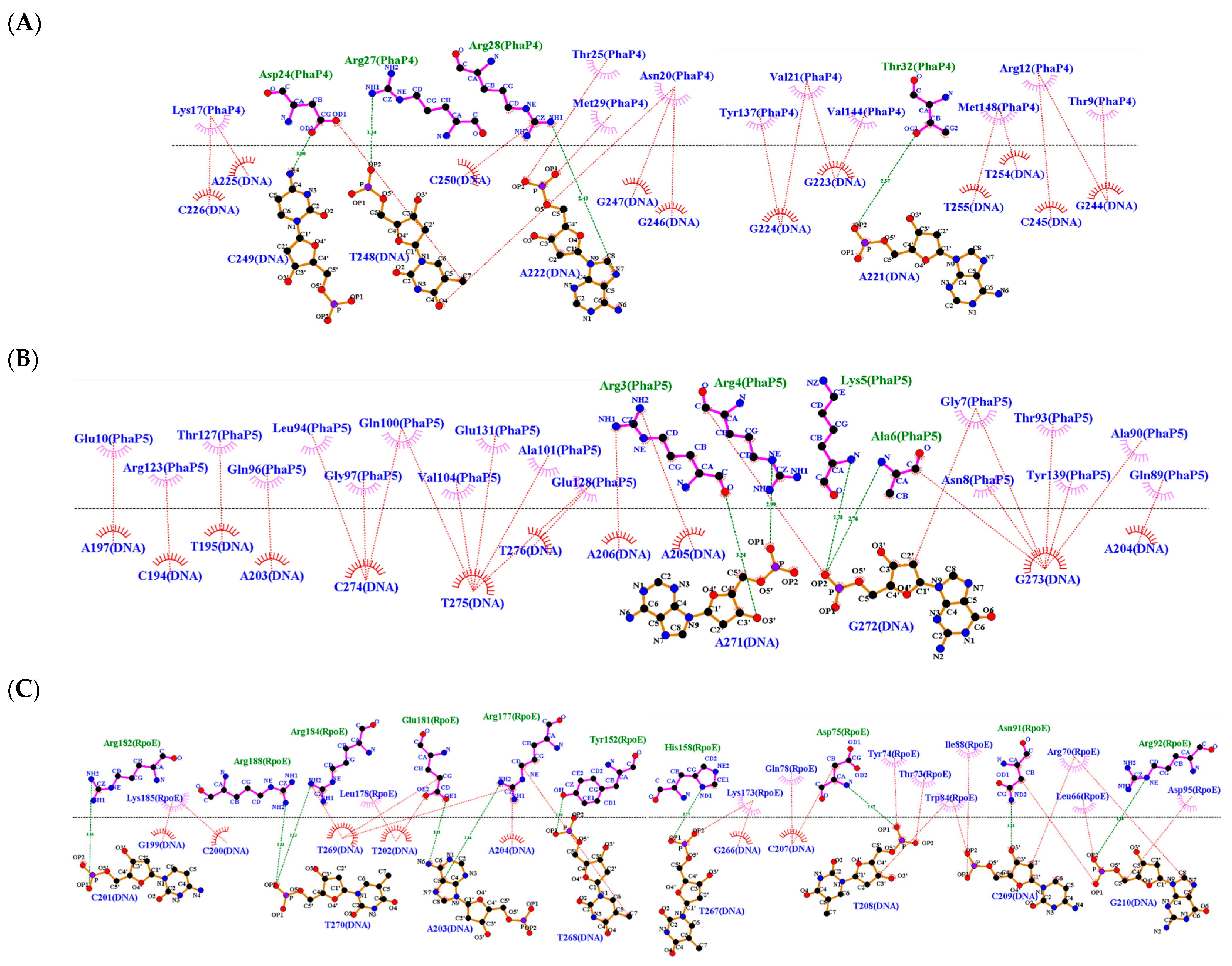 Polymers 16 00611 g007 Polymers 16 00611 g007