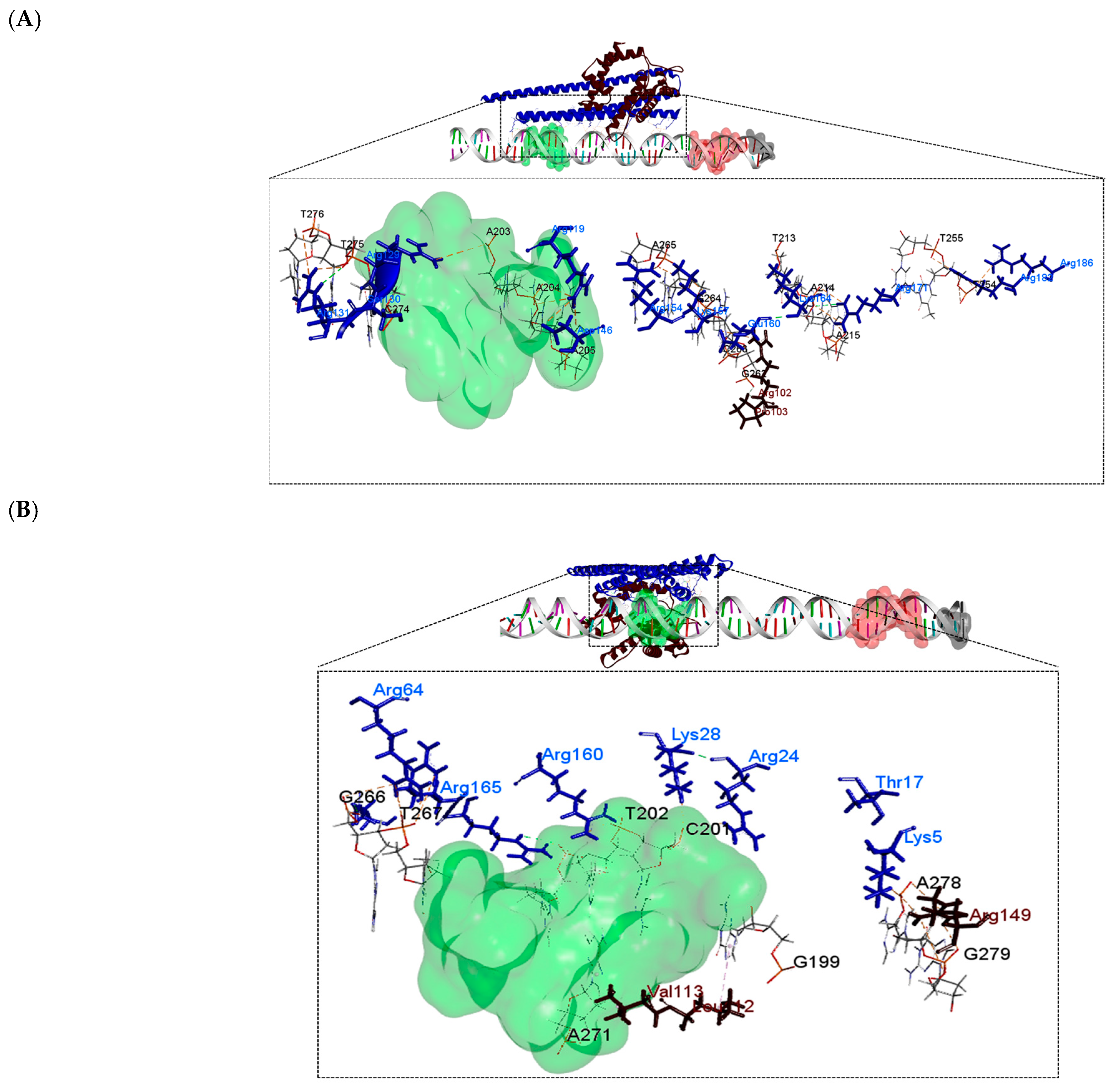 Polymers 16 00611 g008 Polymers 16 00611 g008