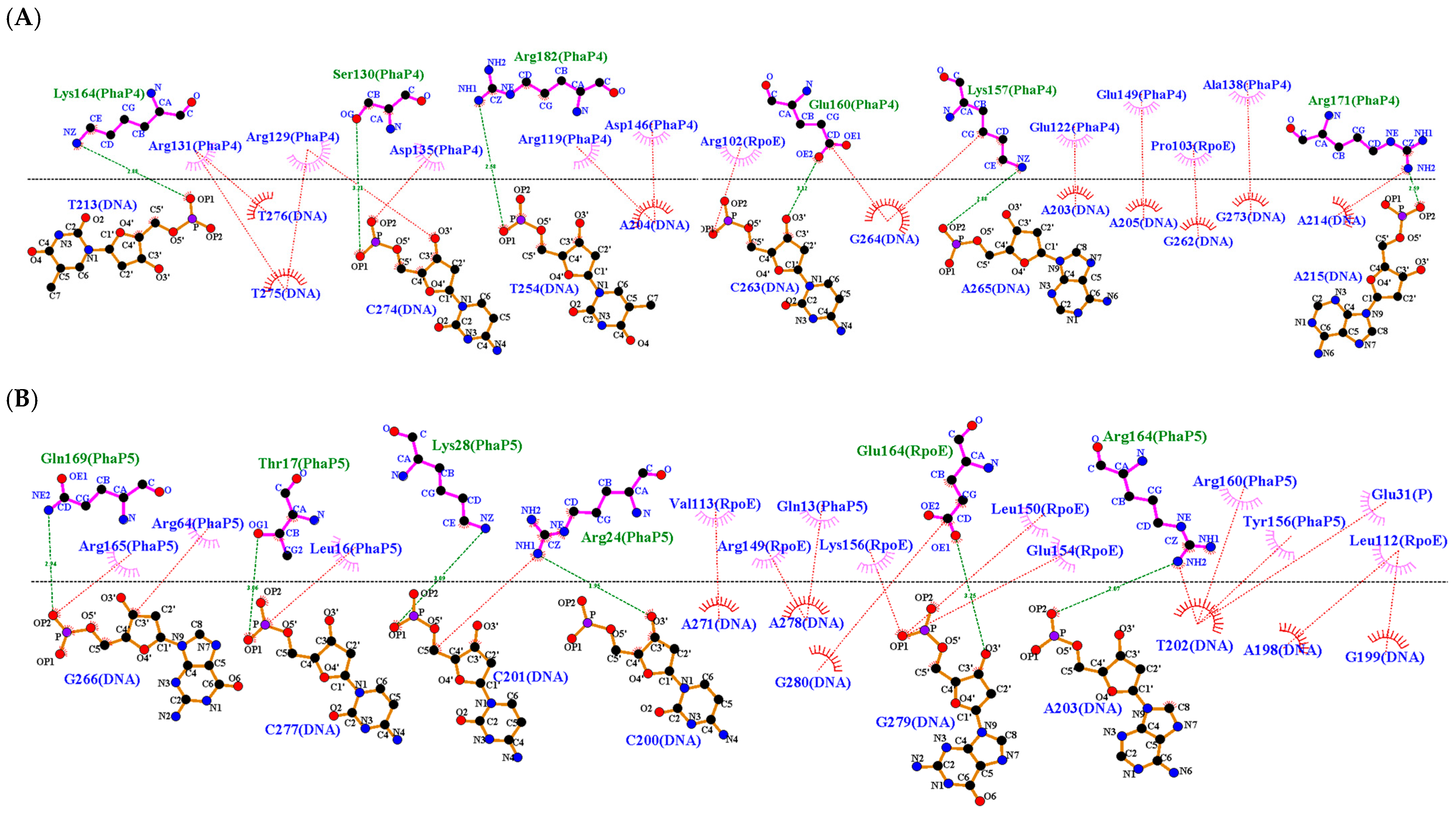Polymers 16 00611 g009 Polymers 16 00611 g009