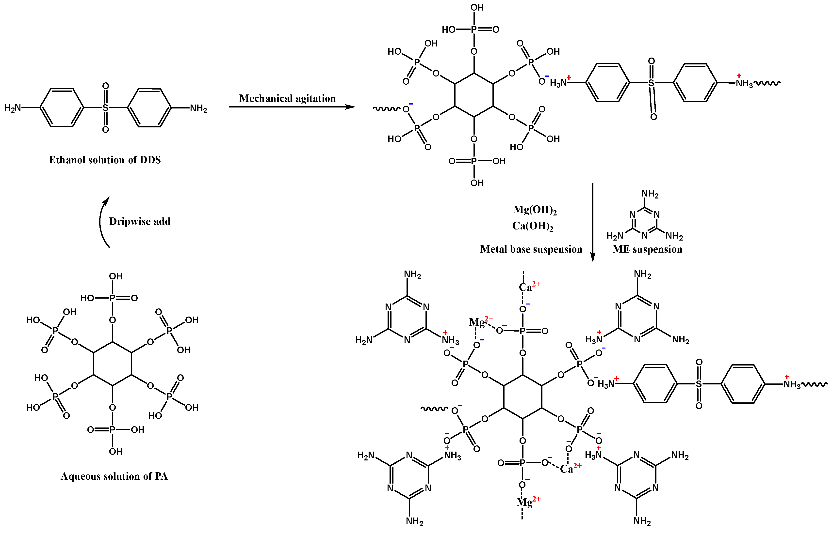 Polymers 16 00614 g001