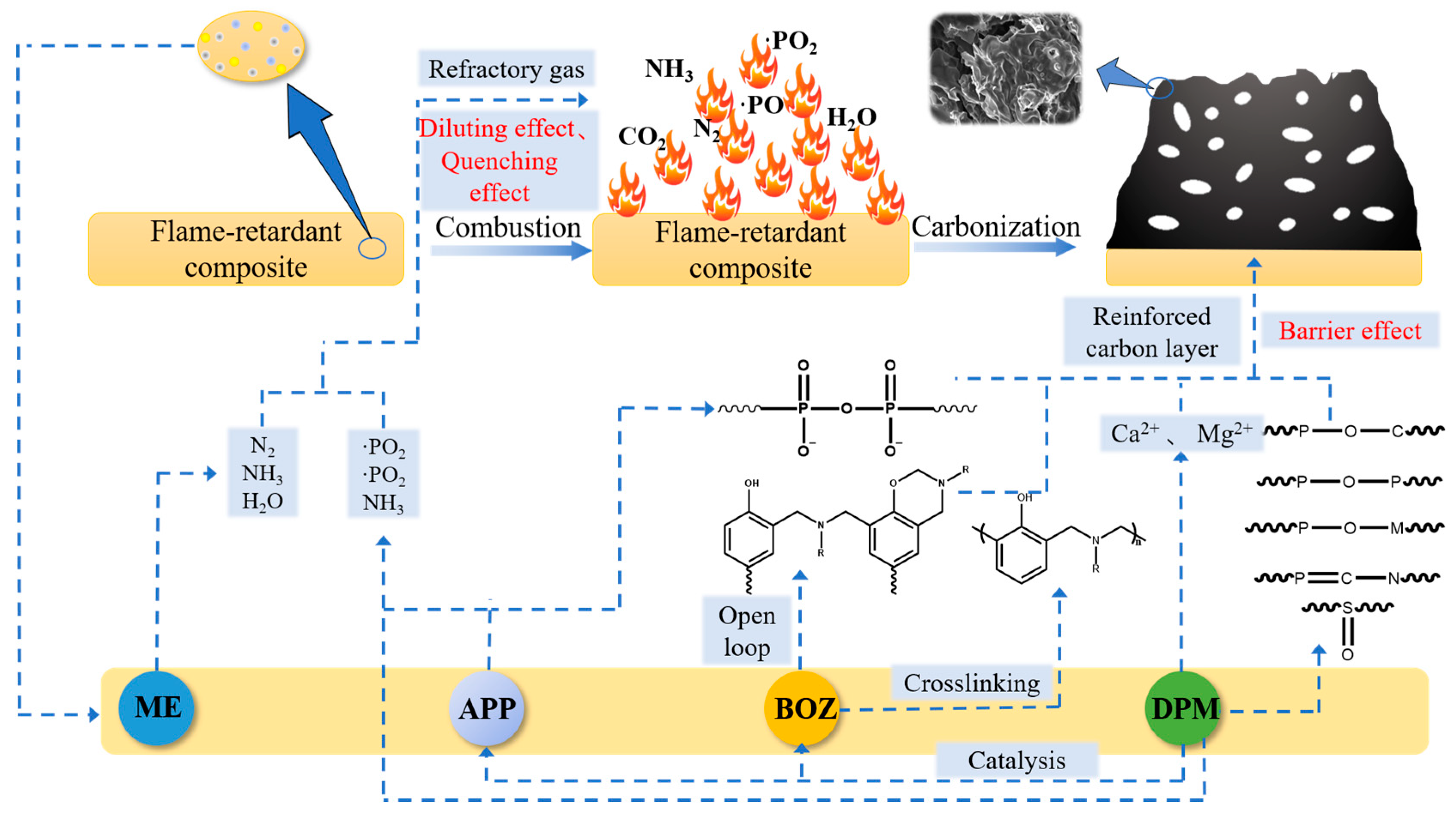 Polymers 16 00614 g011
