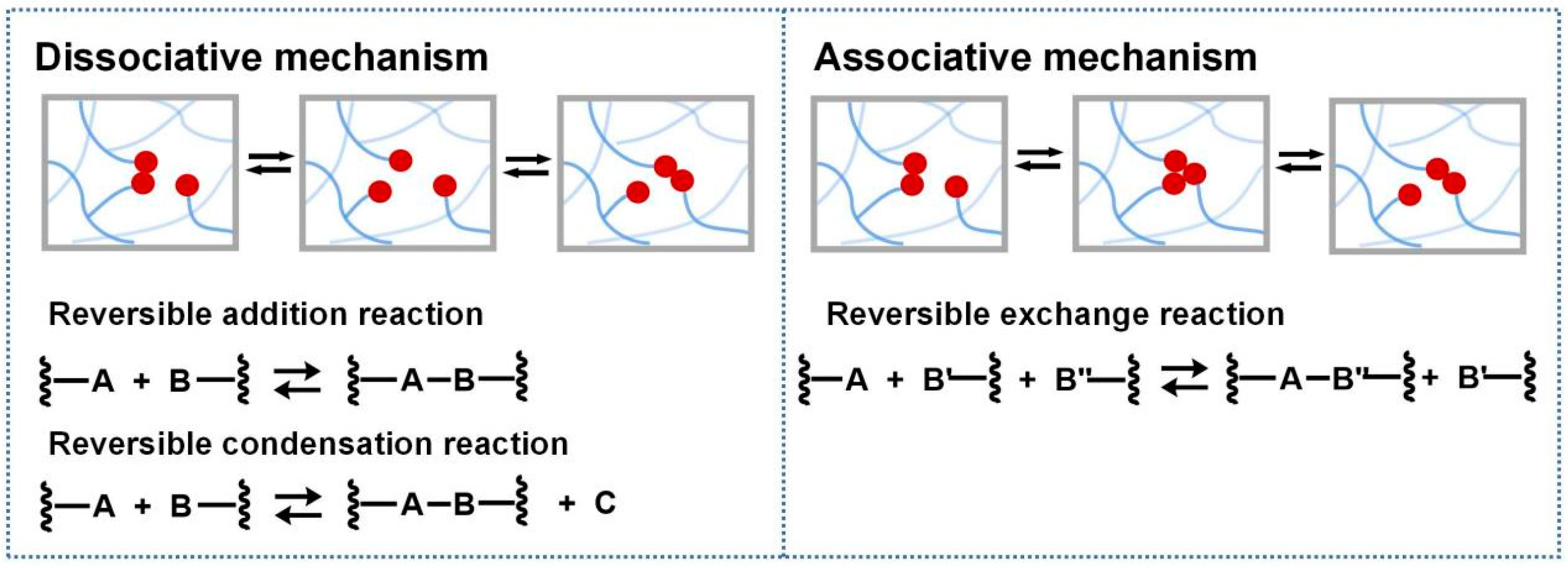 Polymers 16 00621 g001