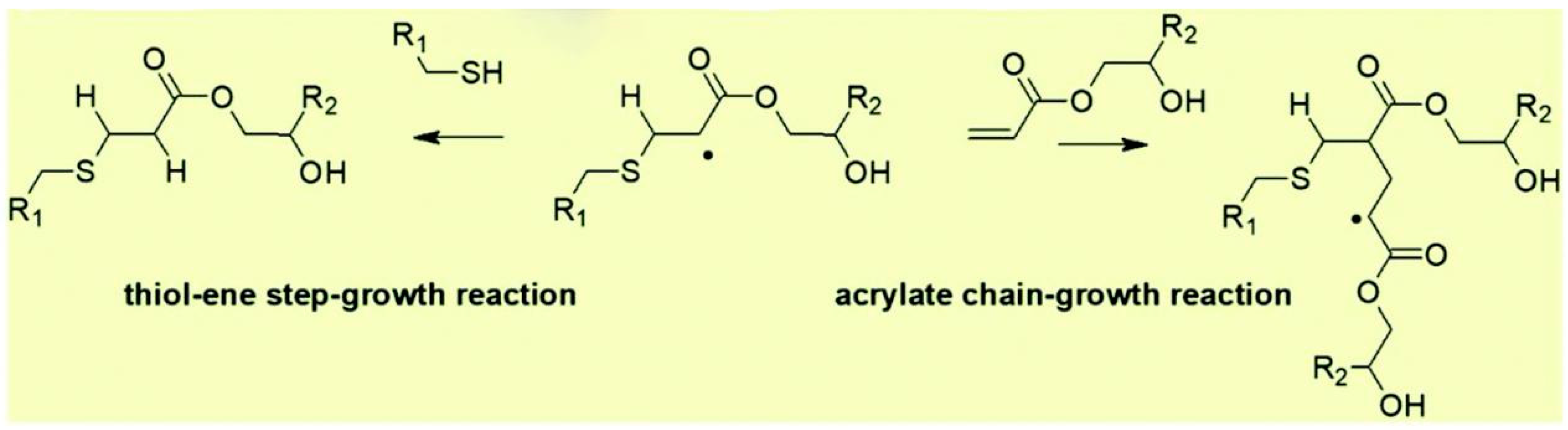 Polymers 16 00621 g002