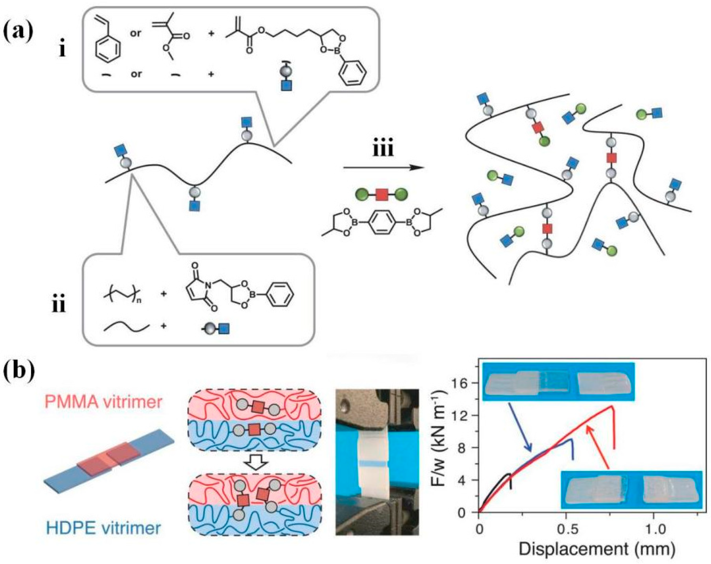 Polymers 16 00621 g004