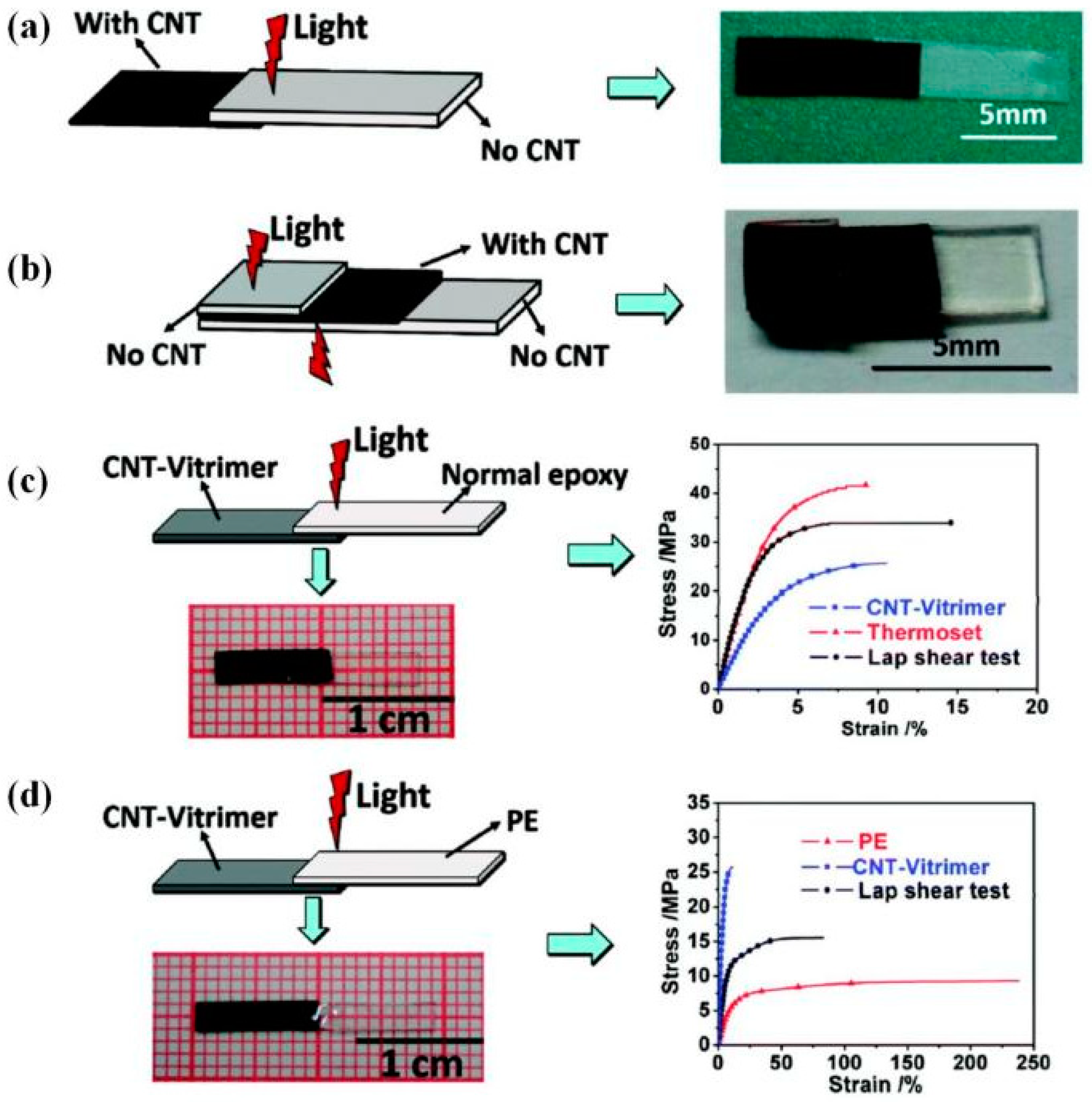 Polymers 16 00621 g012