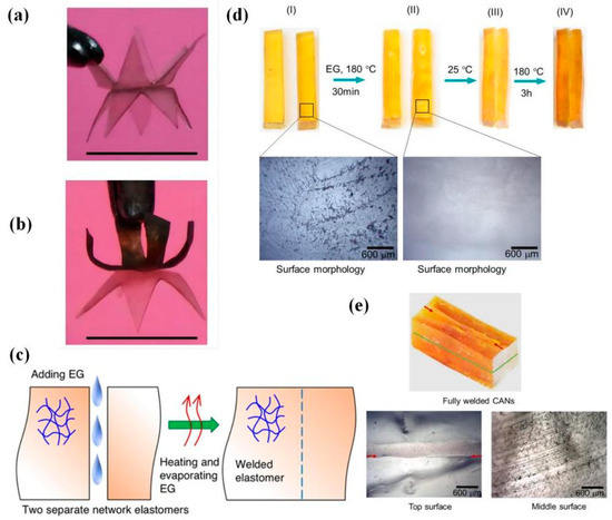 External Stimuli-Induced Welding of Dynamic Cross-Linked