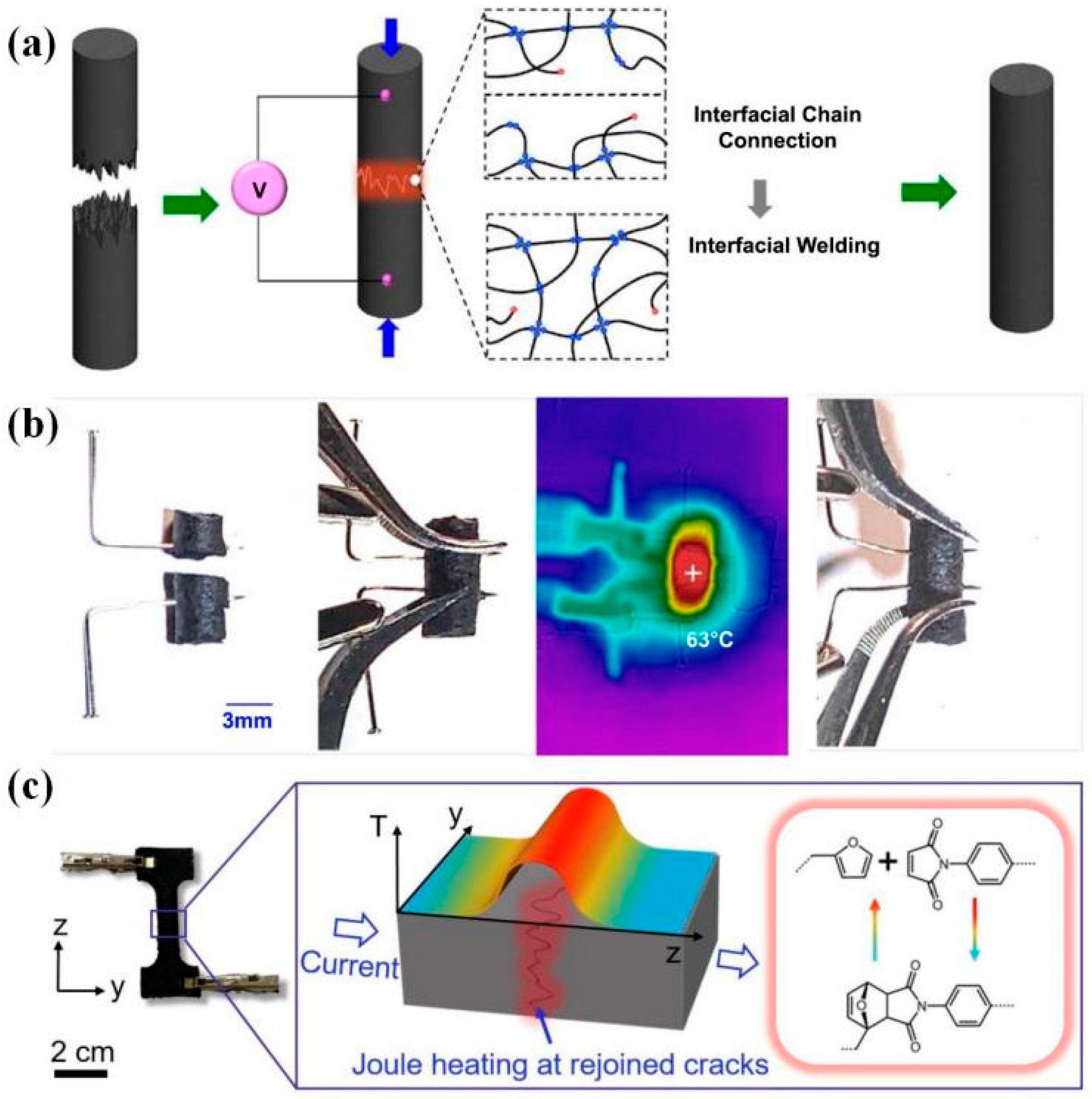 Polymers 16 00621 g018