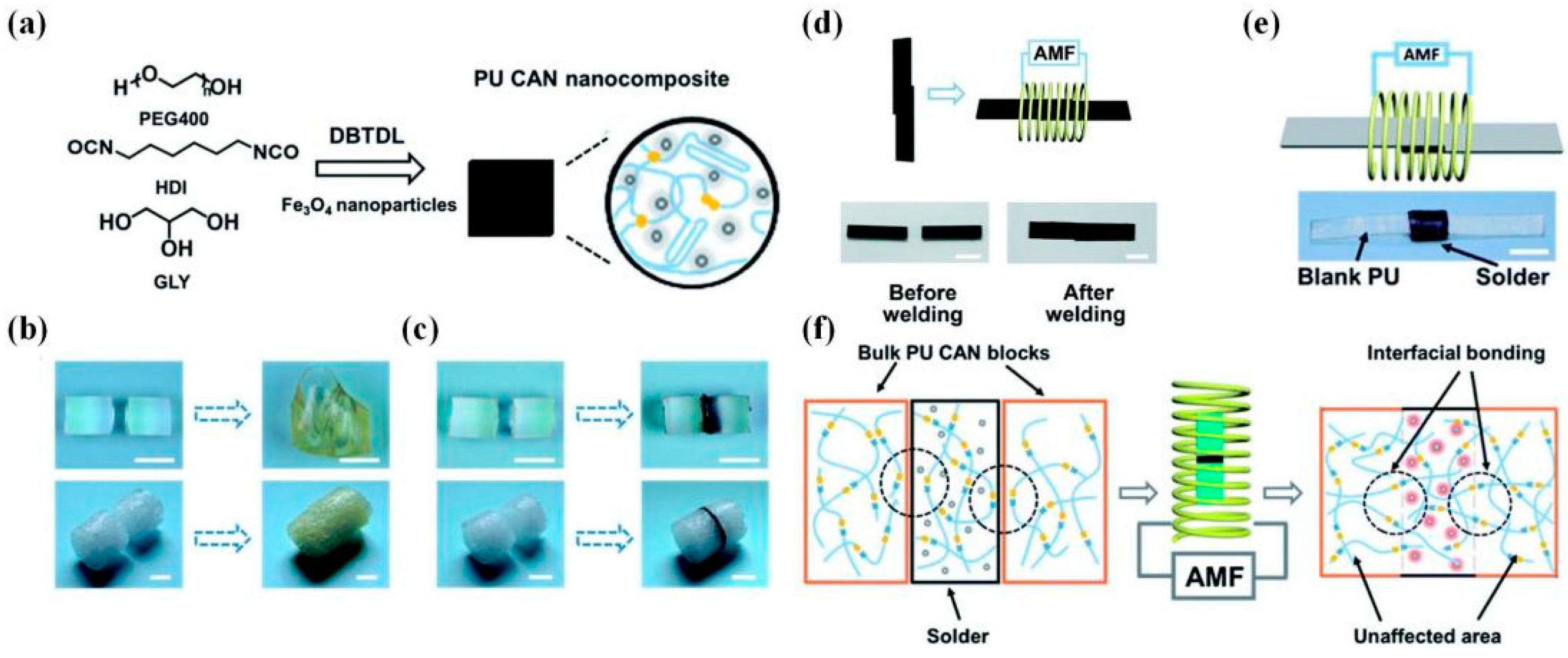 Polymers 16 00621 g019