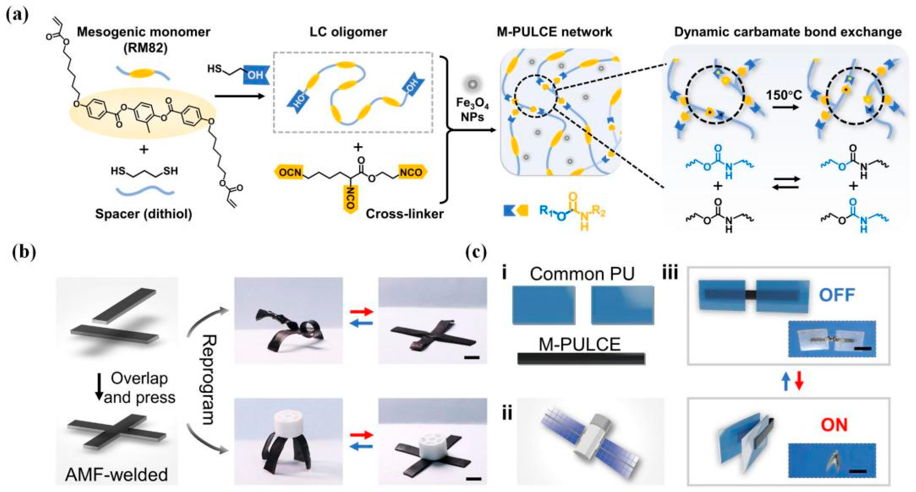 Polymers 16 00621 g020