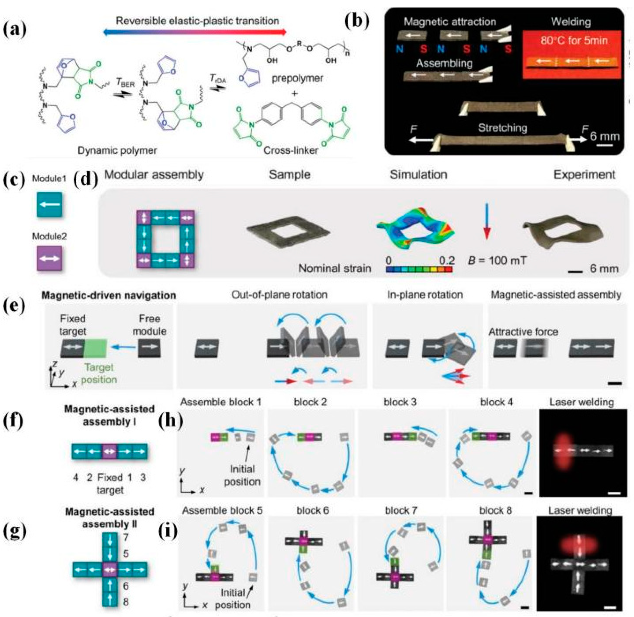 Polymers 16 00621 g022