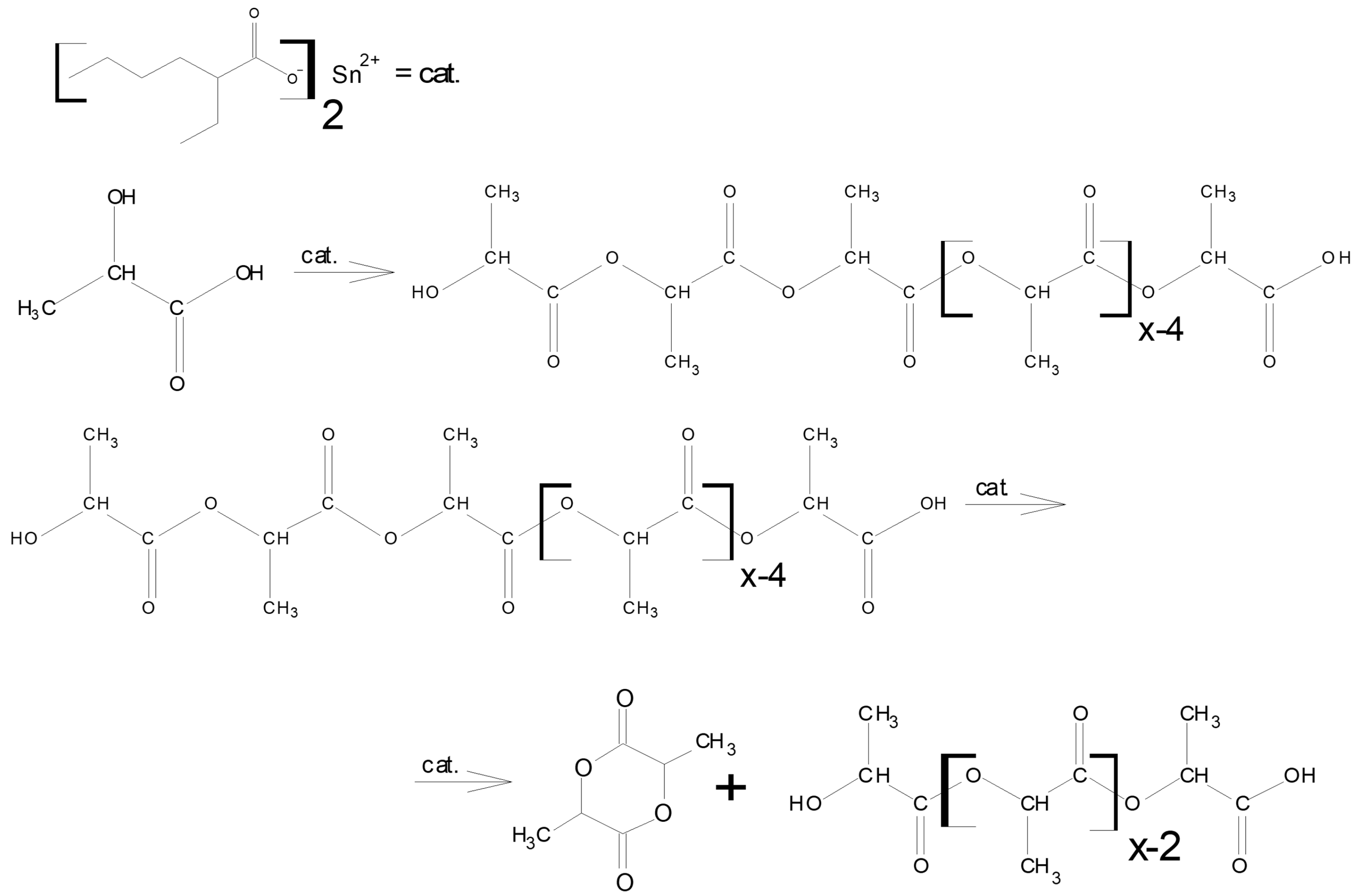 Polymers 16 00624 g007
