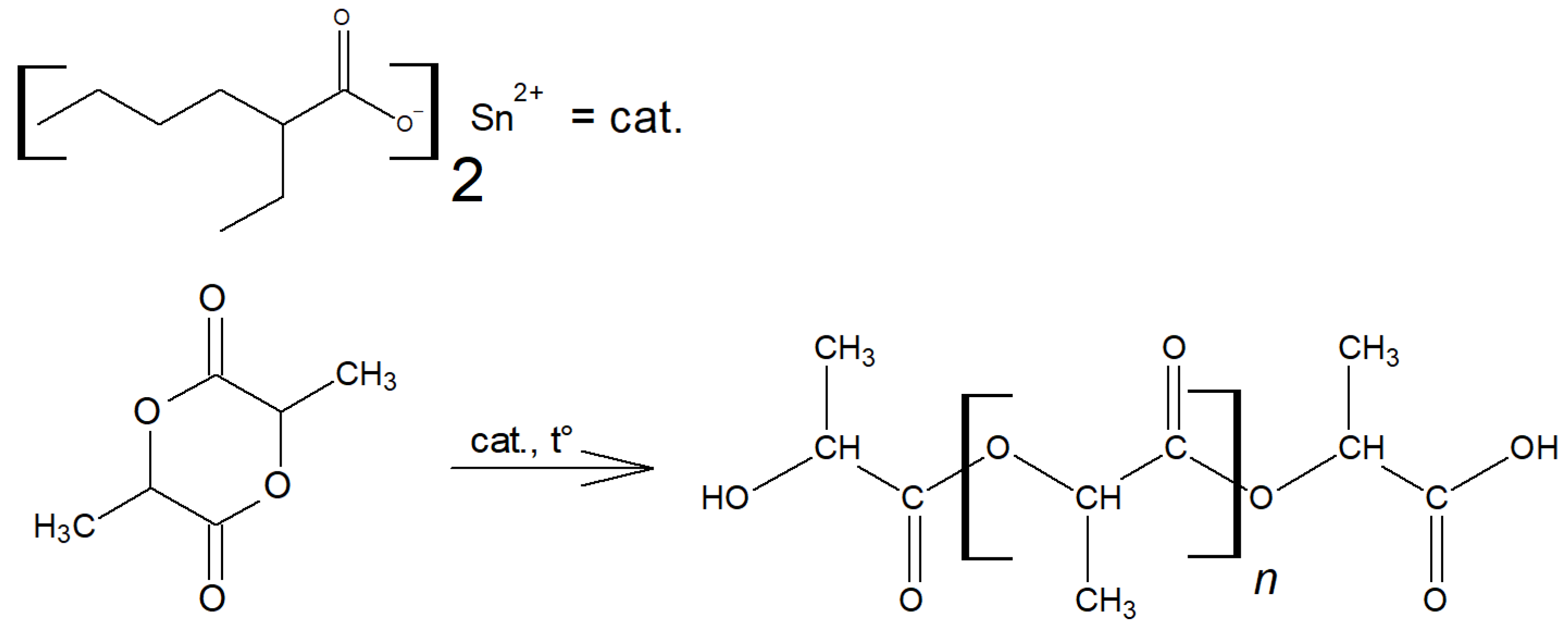Polymers 16 00624 g021